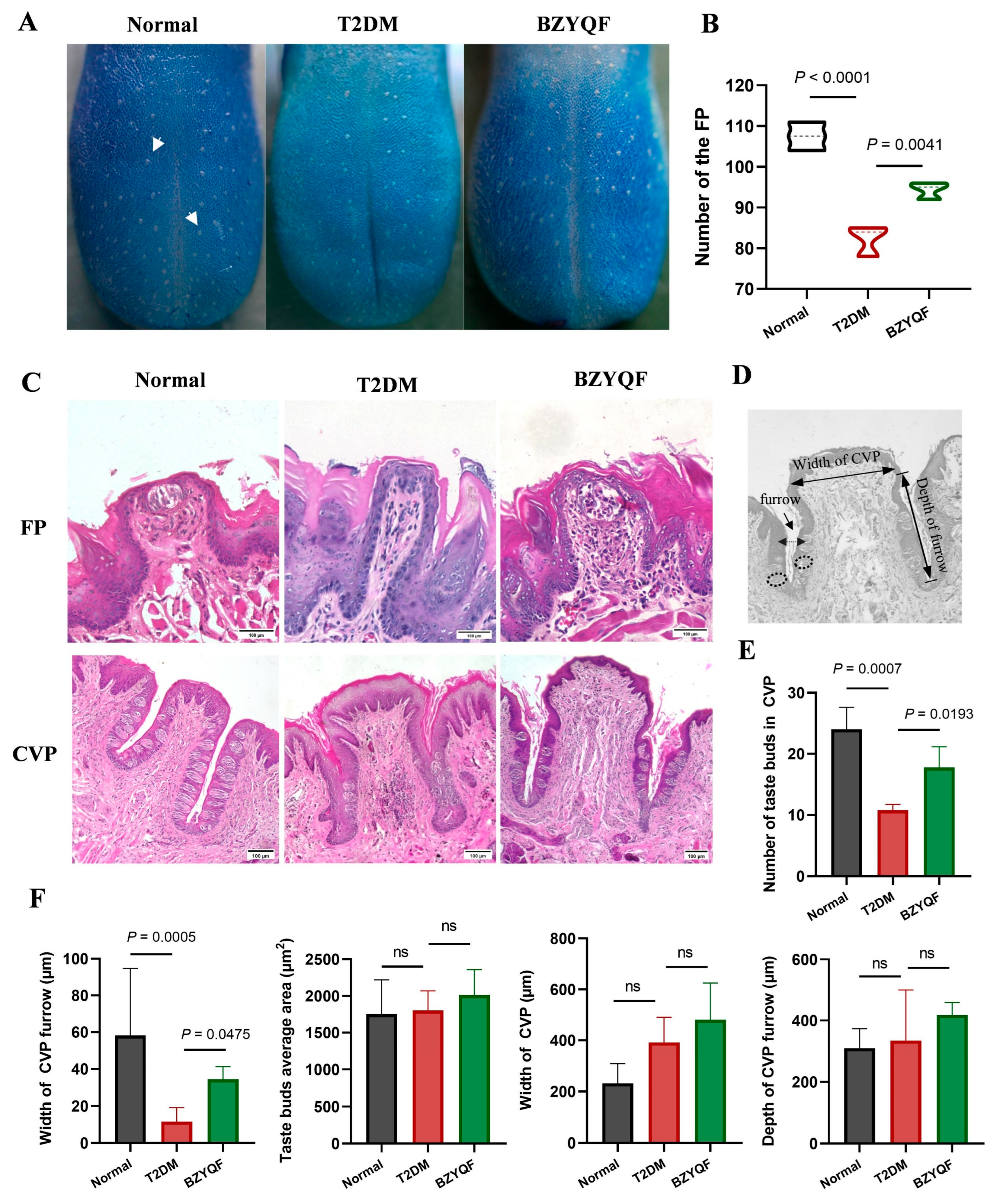 Pharmaceuticals 18 00838 g004