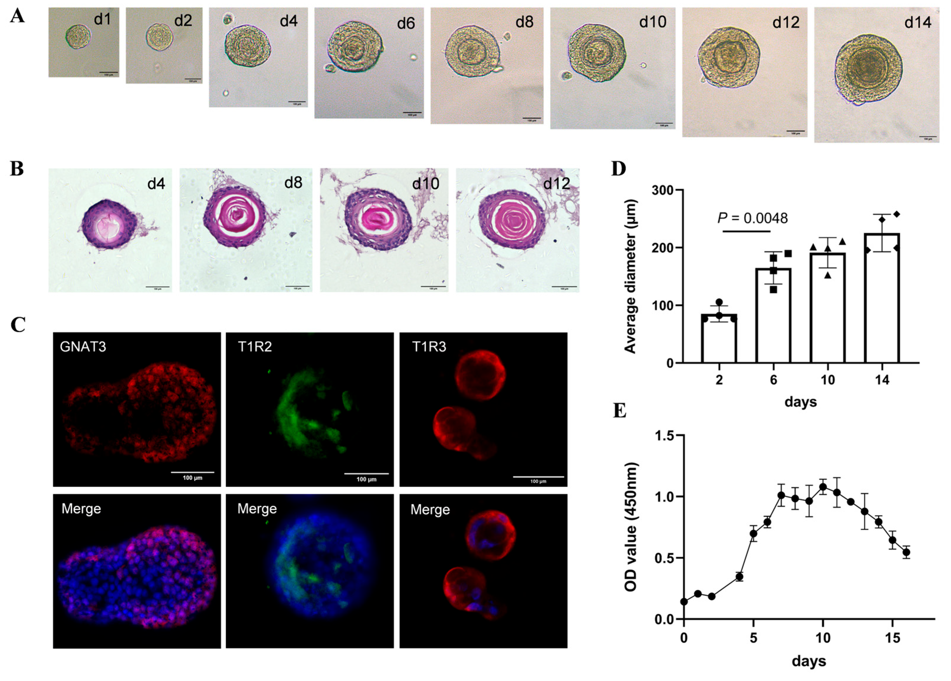 Pharmaceuticals 18 00838 g007
