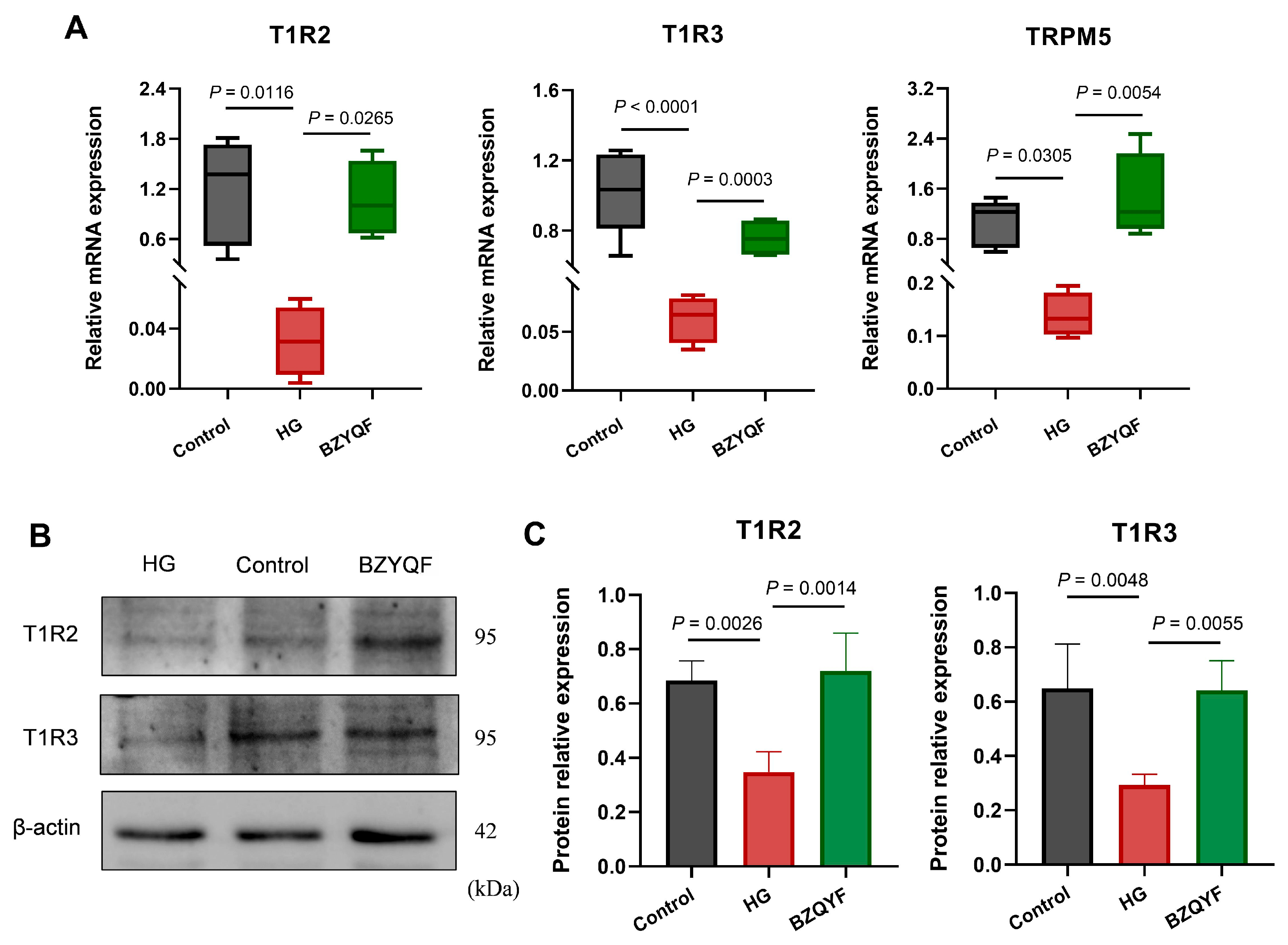 Pharmaceuticals 18 00838 g009