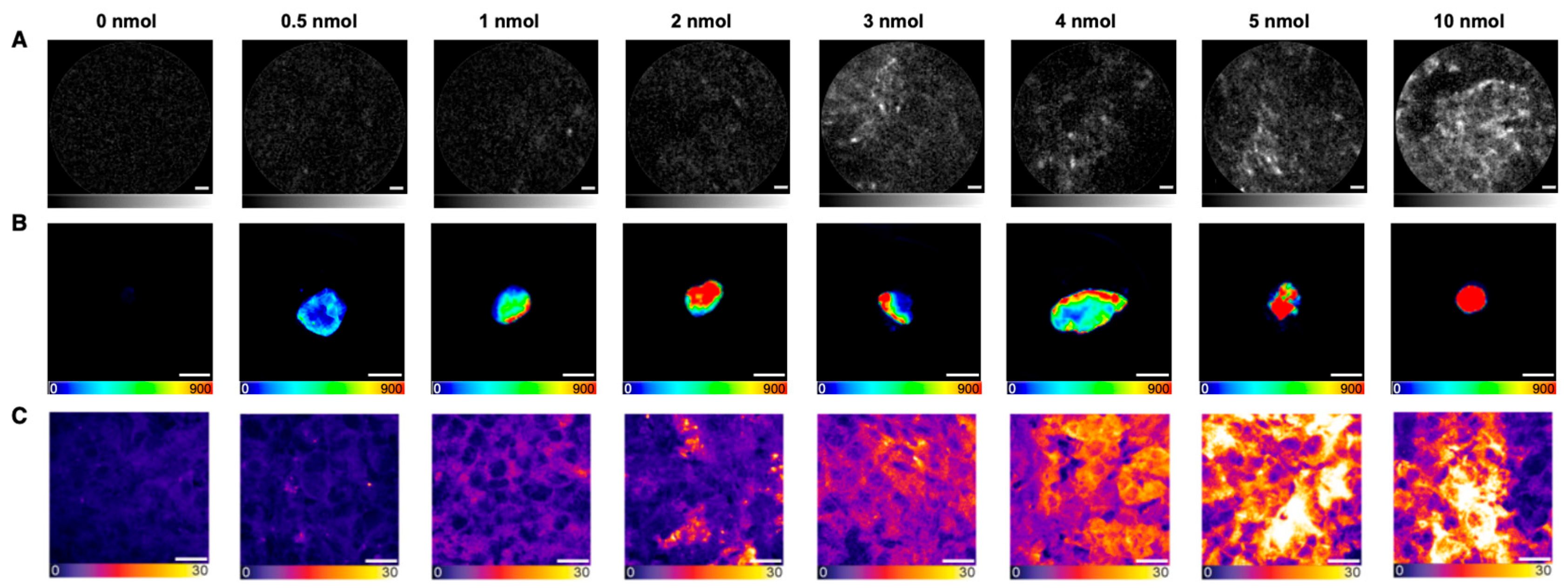 Pharmaceuticals 18 00841 g001