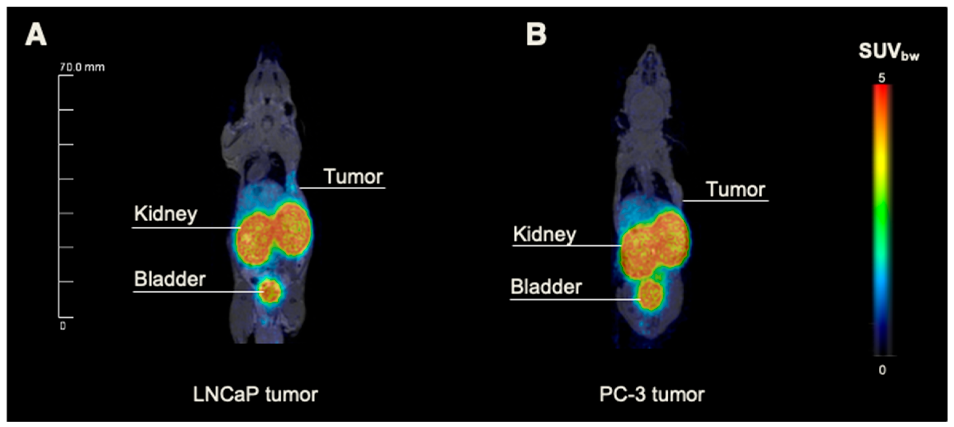 Pharmaceuticals 18 00841 g003