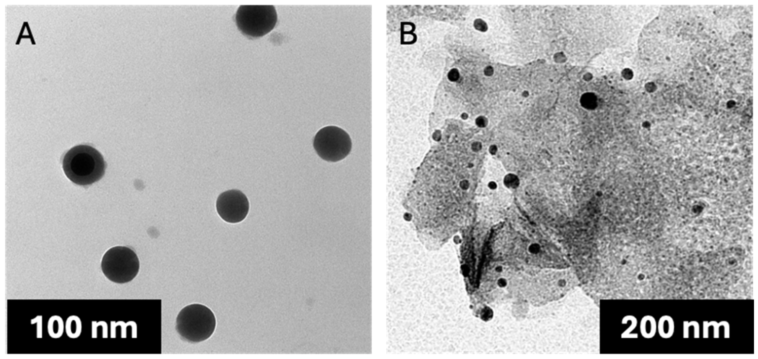 Pharmaceuticals 18 00844 g003