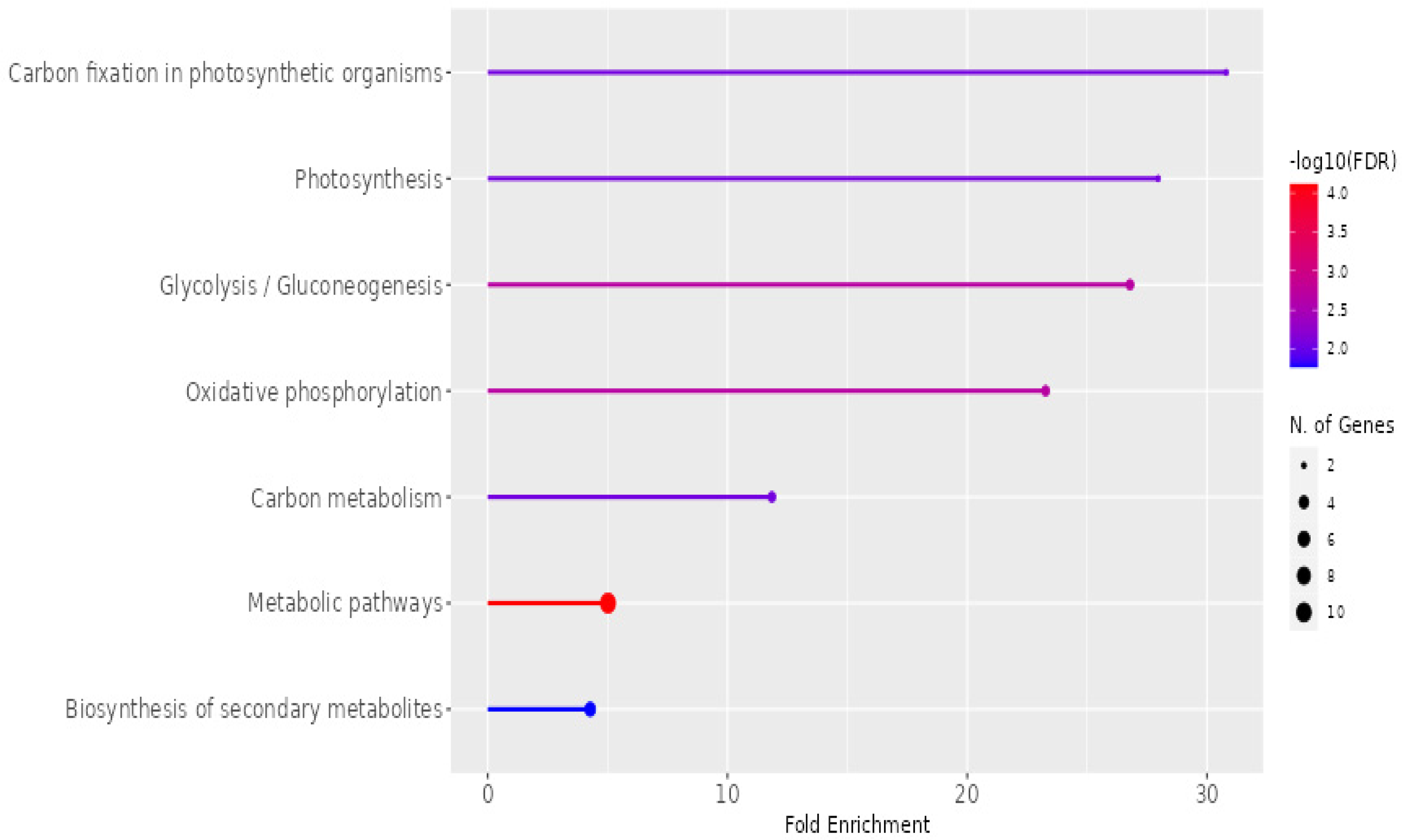 Pharmaceuticals 18 00844 g009