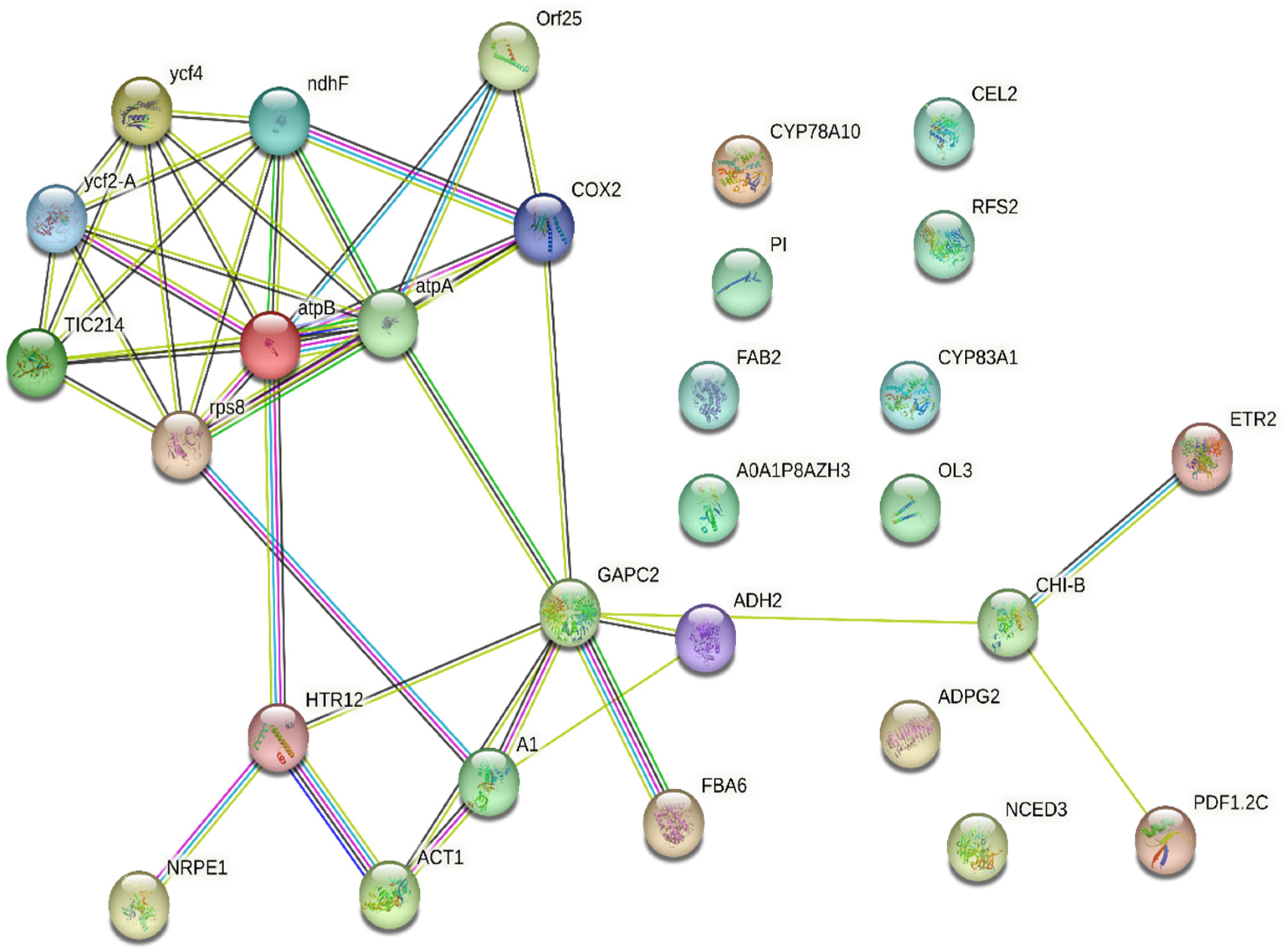 Pharmaceuticals 18 00844 g010