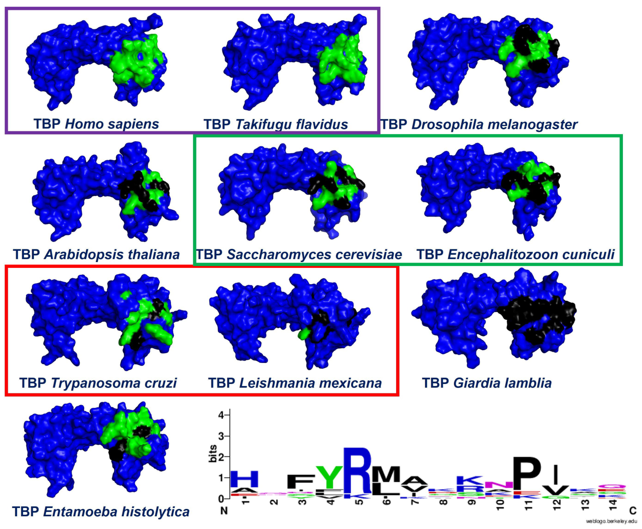 Pharmaceuticals 18 00845 g001