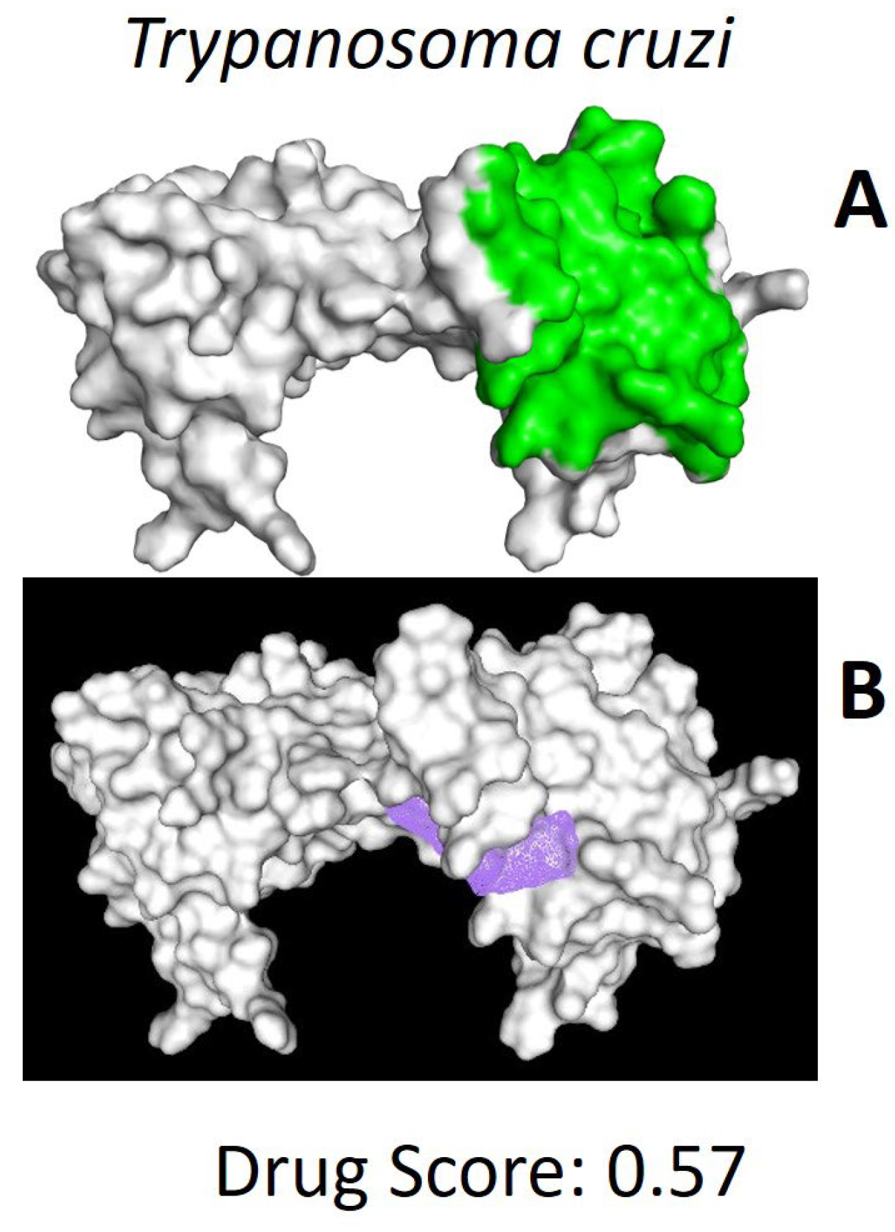 Pharmaceuticals 18 00845 g002