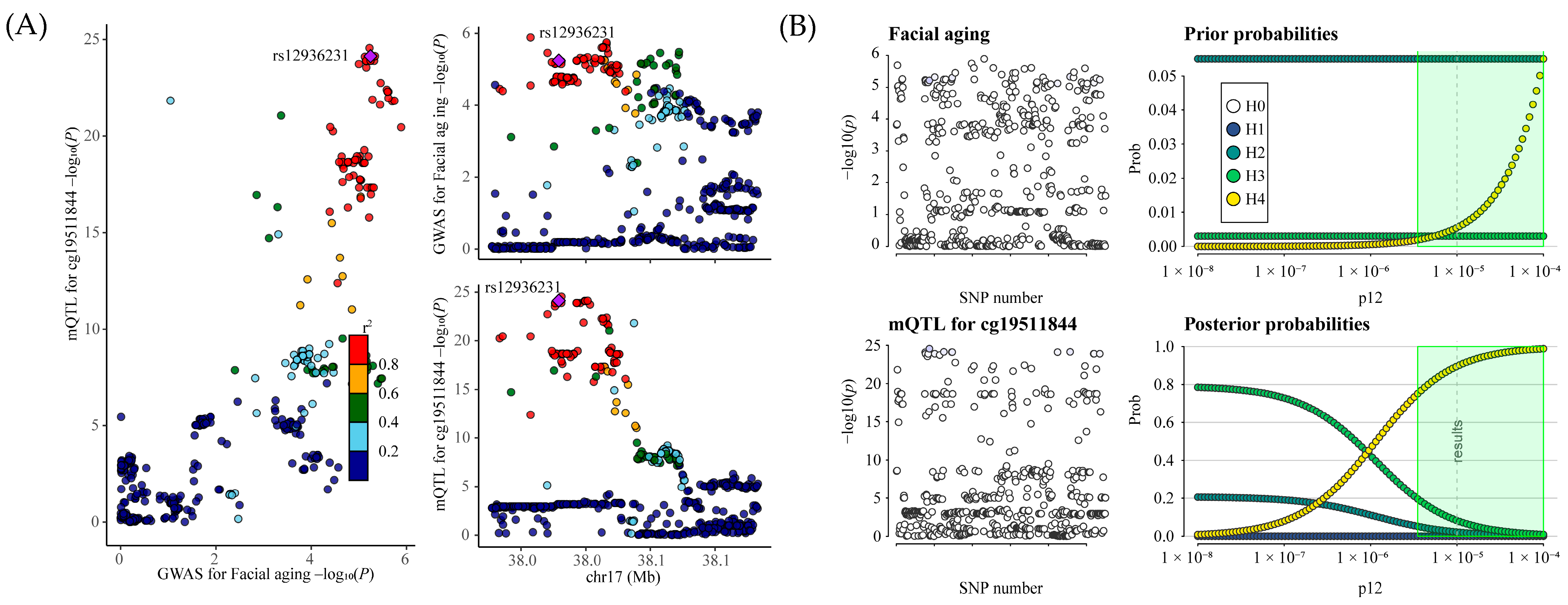 Pharmaceuticals 18 00846 g007