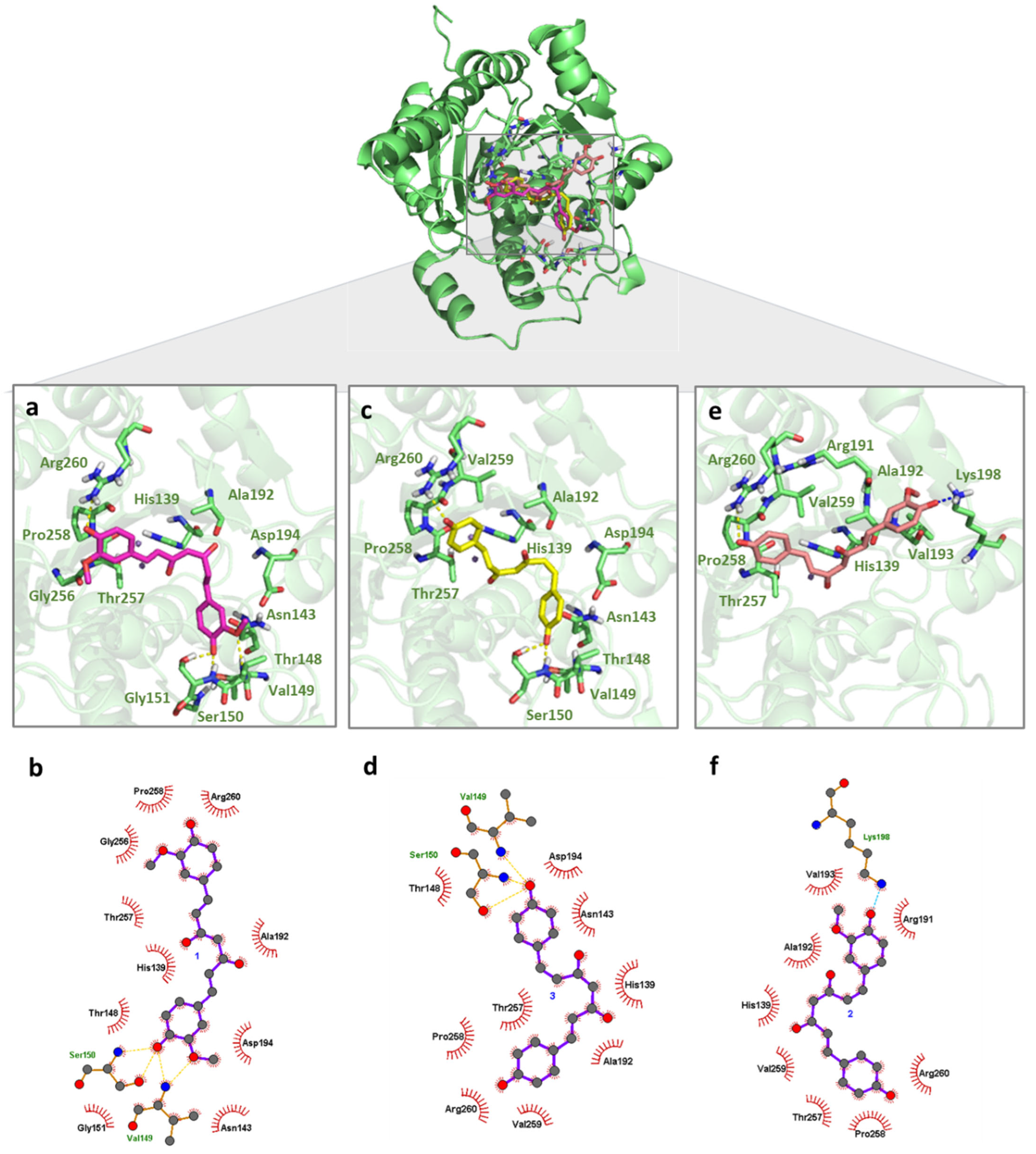 Pharmaceuticals 18 00851 g002