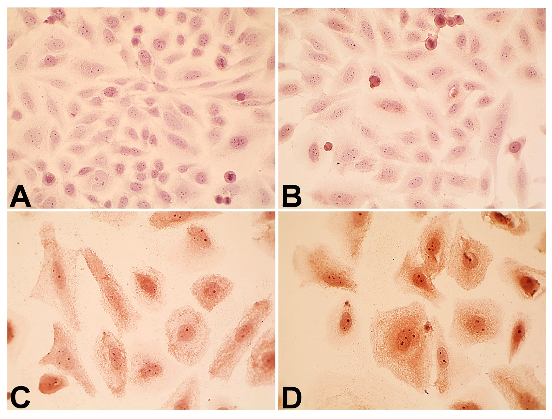 Pharmaceuticals 18 00852 g005
