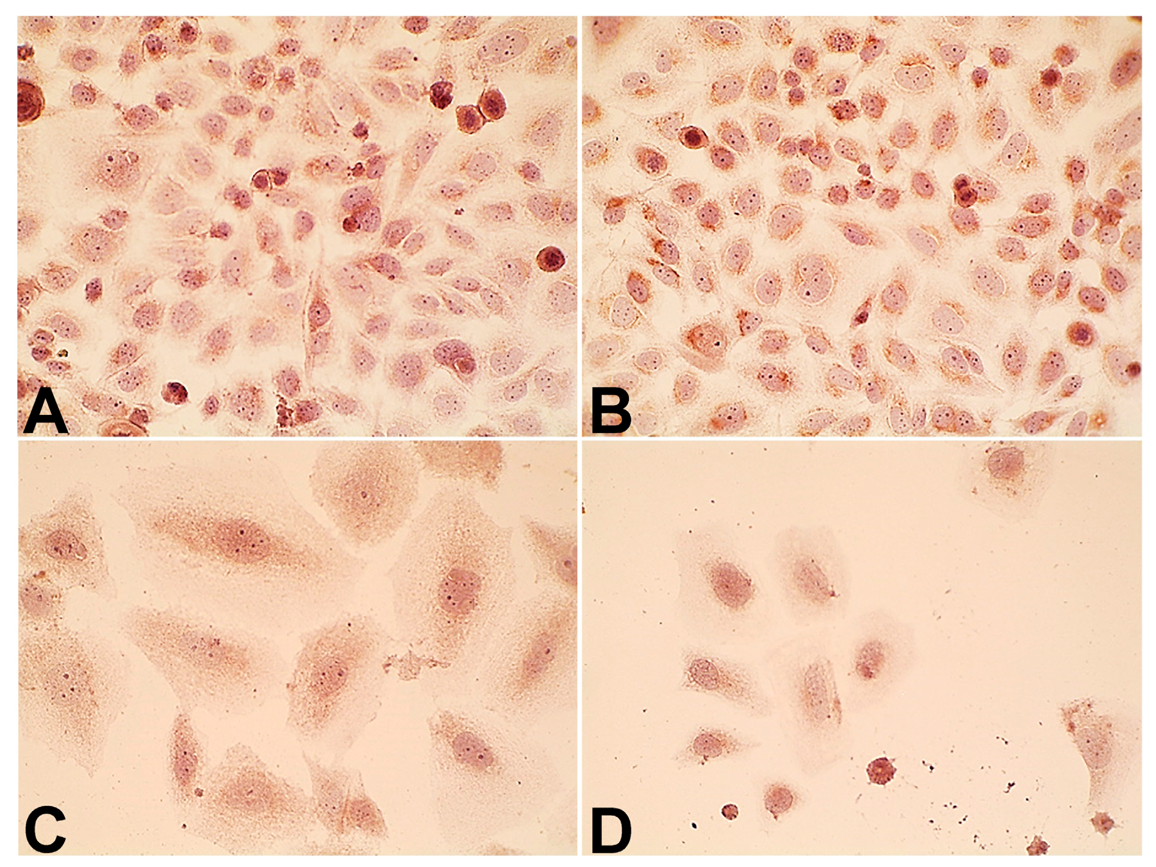 Pharmaceuticals 18 00852 g007