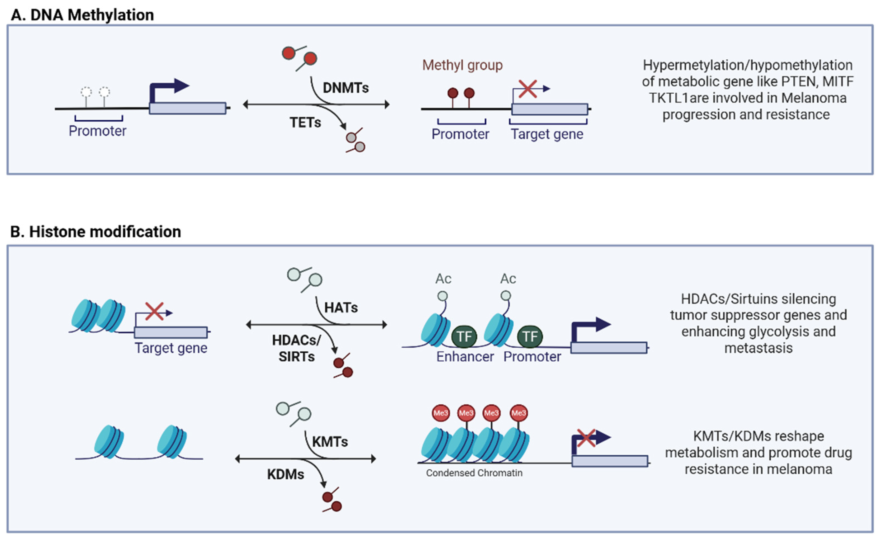 Pharmaceuticals 18 00853 g001