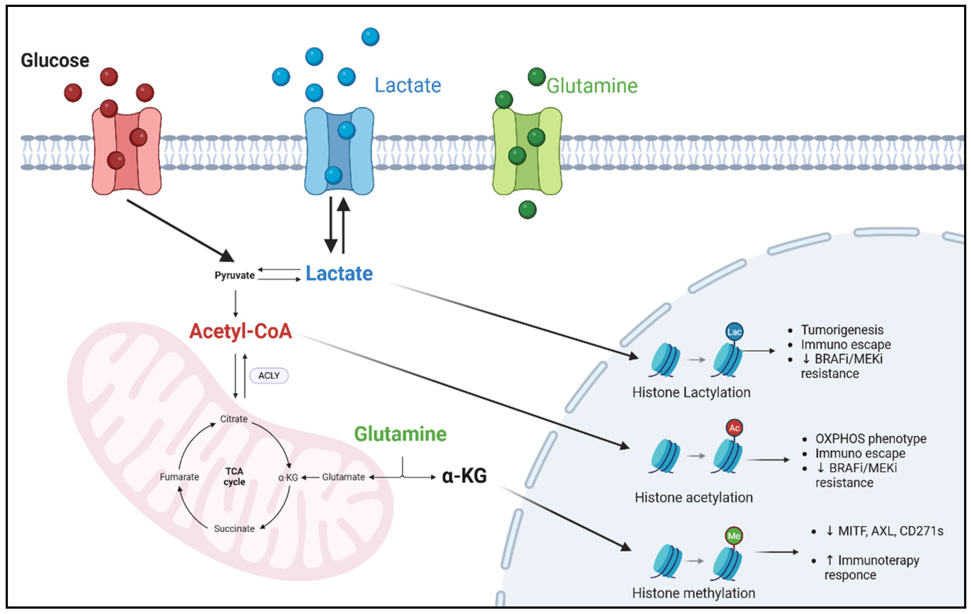 Pharmaceuticals 18 00853 g002