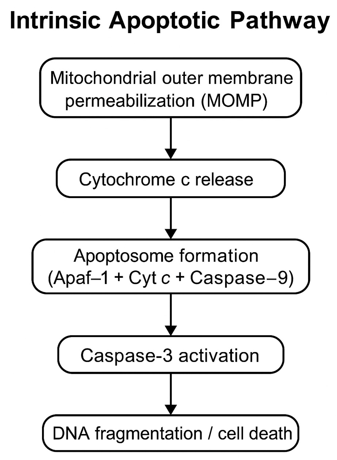 Pharmaceuticals 18 00854 g001