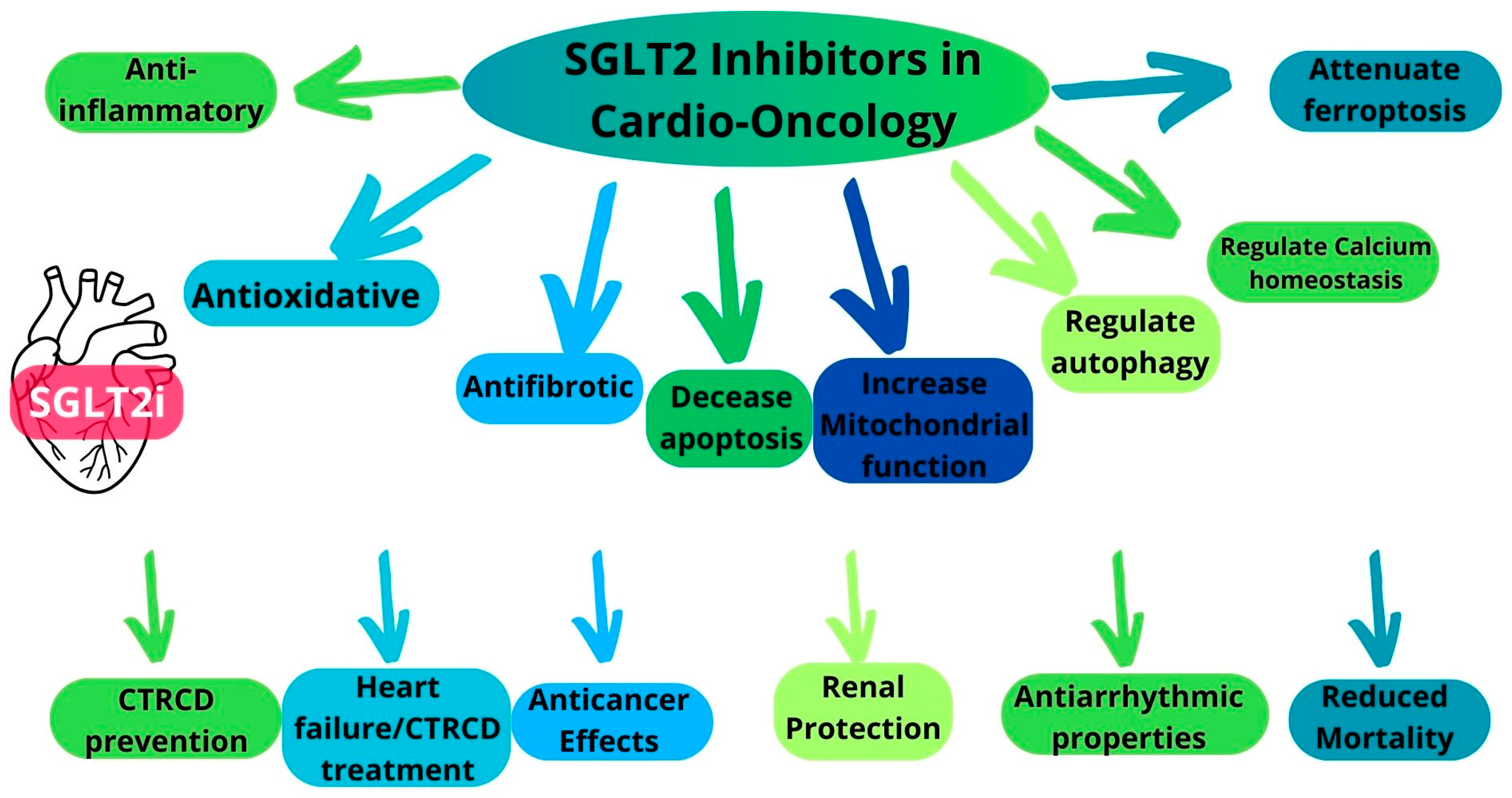 Pharmaceuticals 18 00857 g001