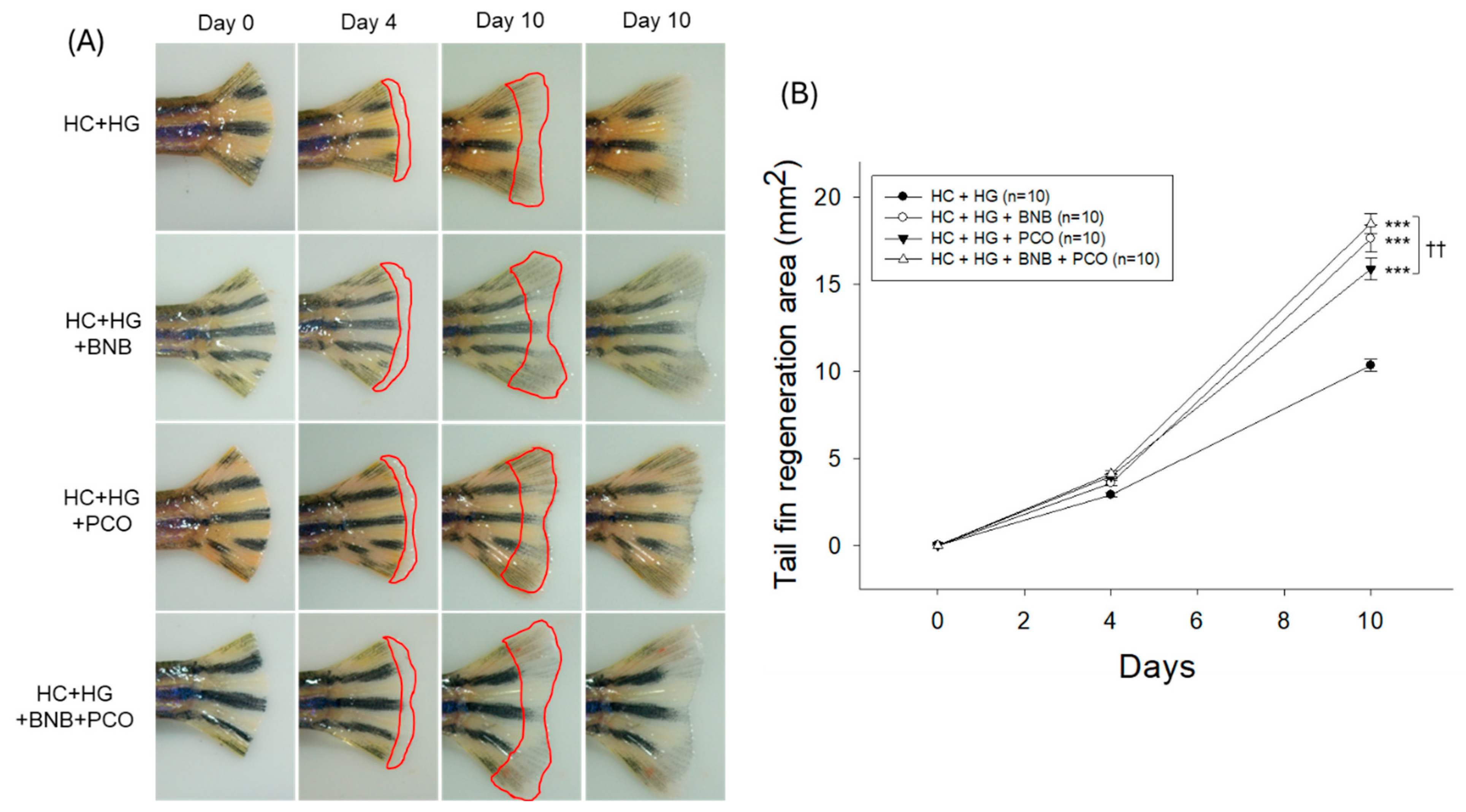 Pharmaceuticals 18 00860 g004