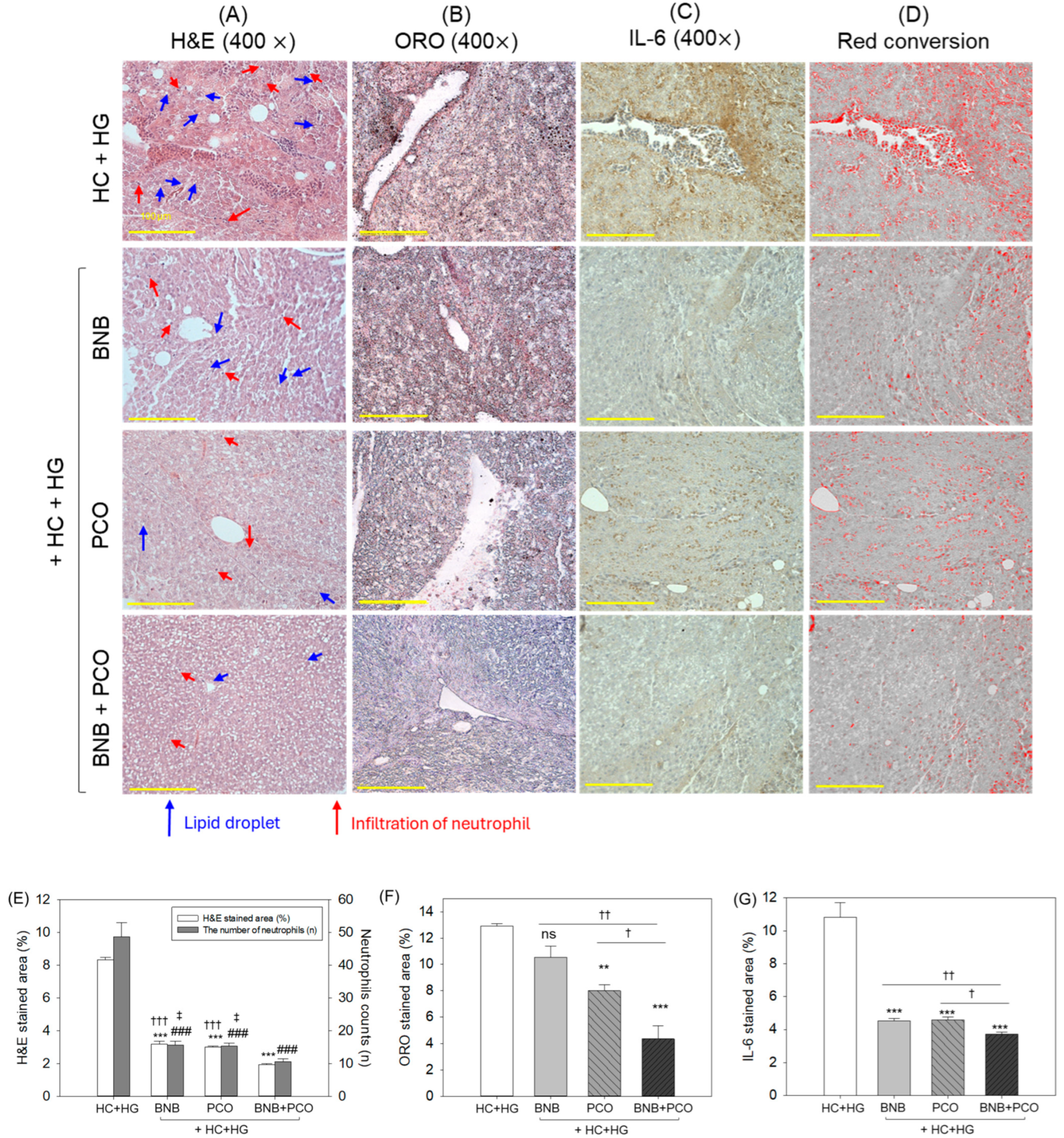 Pharmaceuticals 18 00860 g006