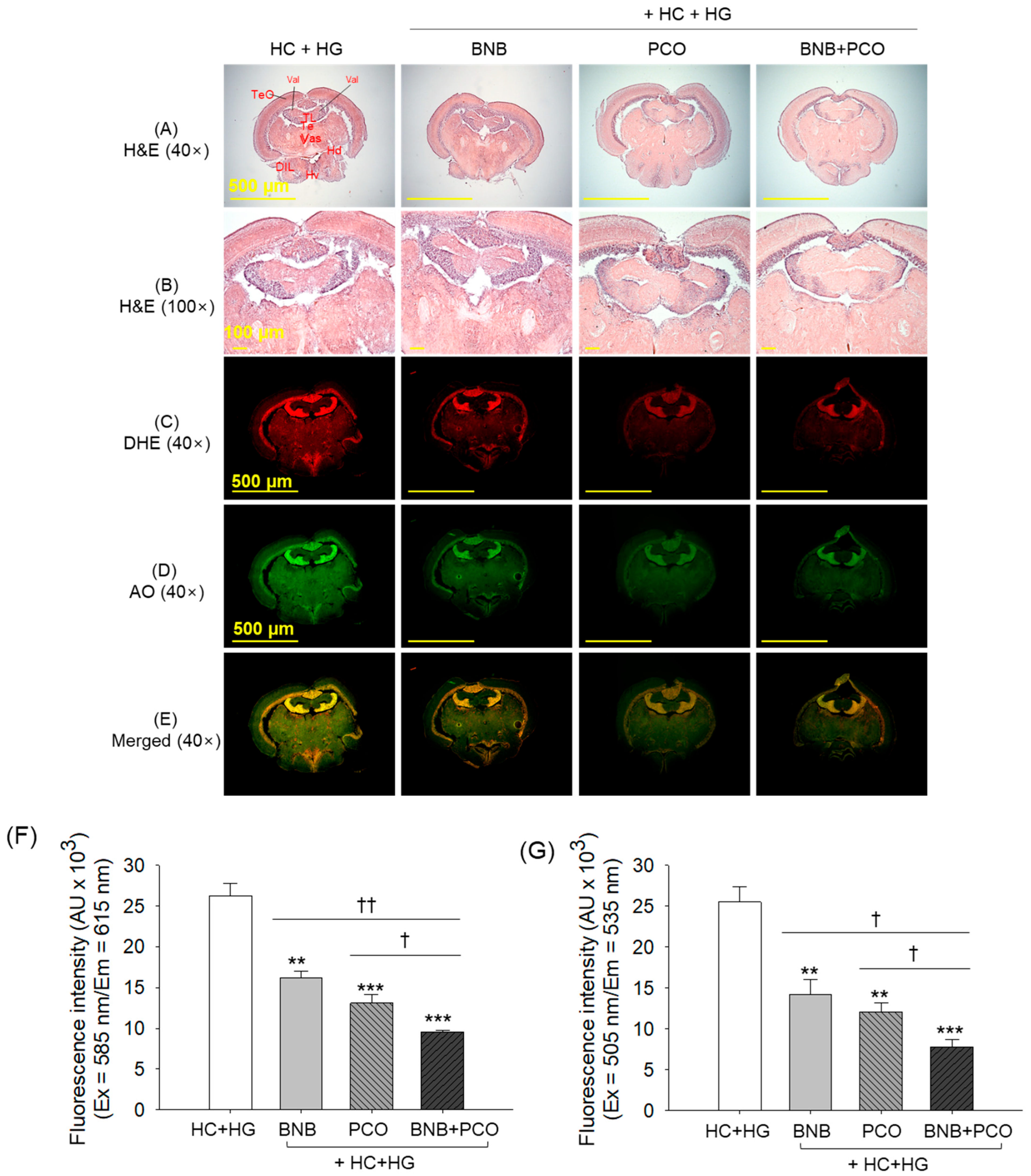 Pharmaceuticals 18 00860 g007