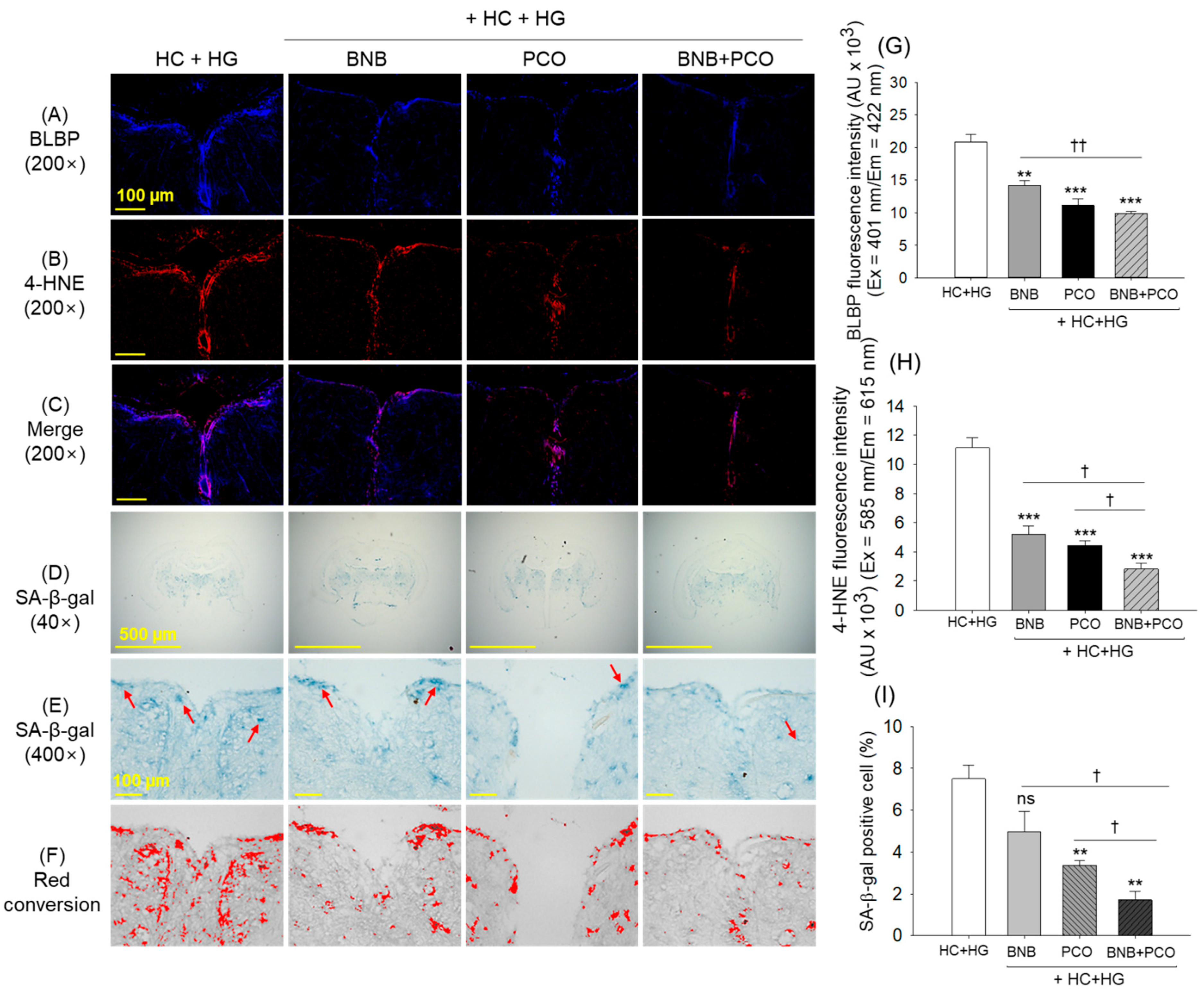 Pharmaceuticals 18 00860 g008