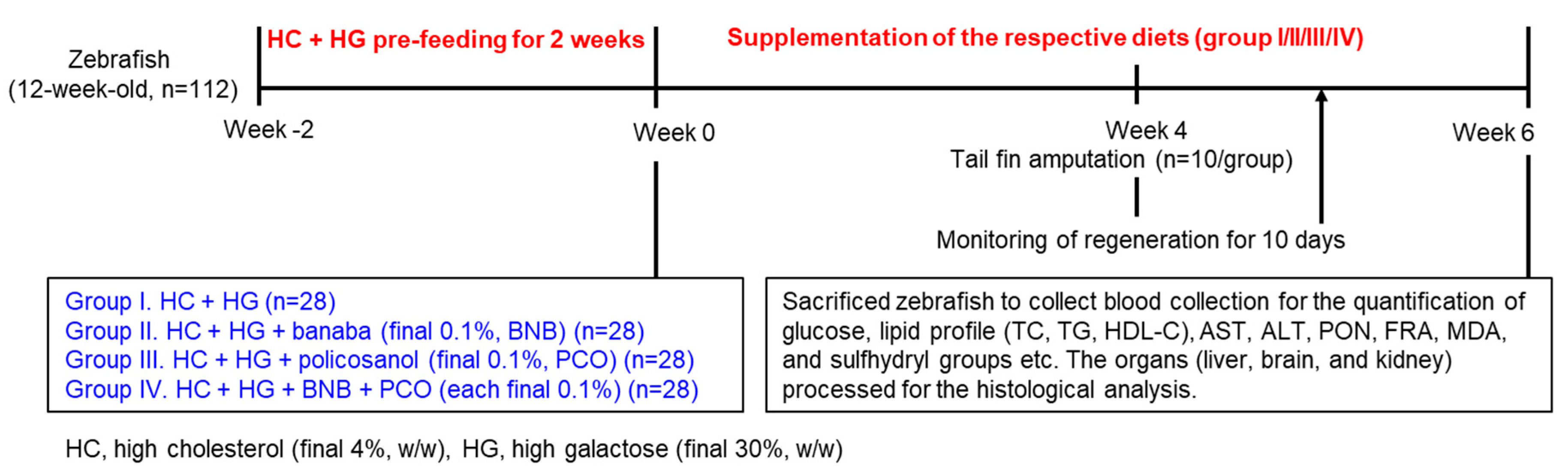 Pharmaceuticals 18 00860 g010