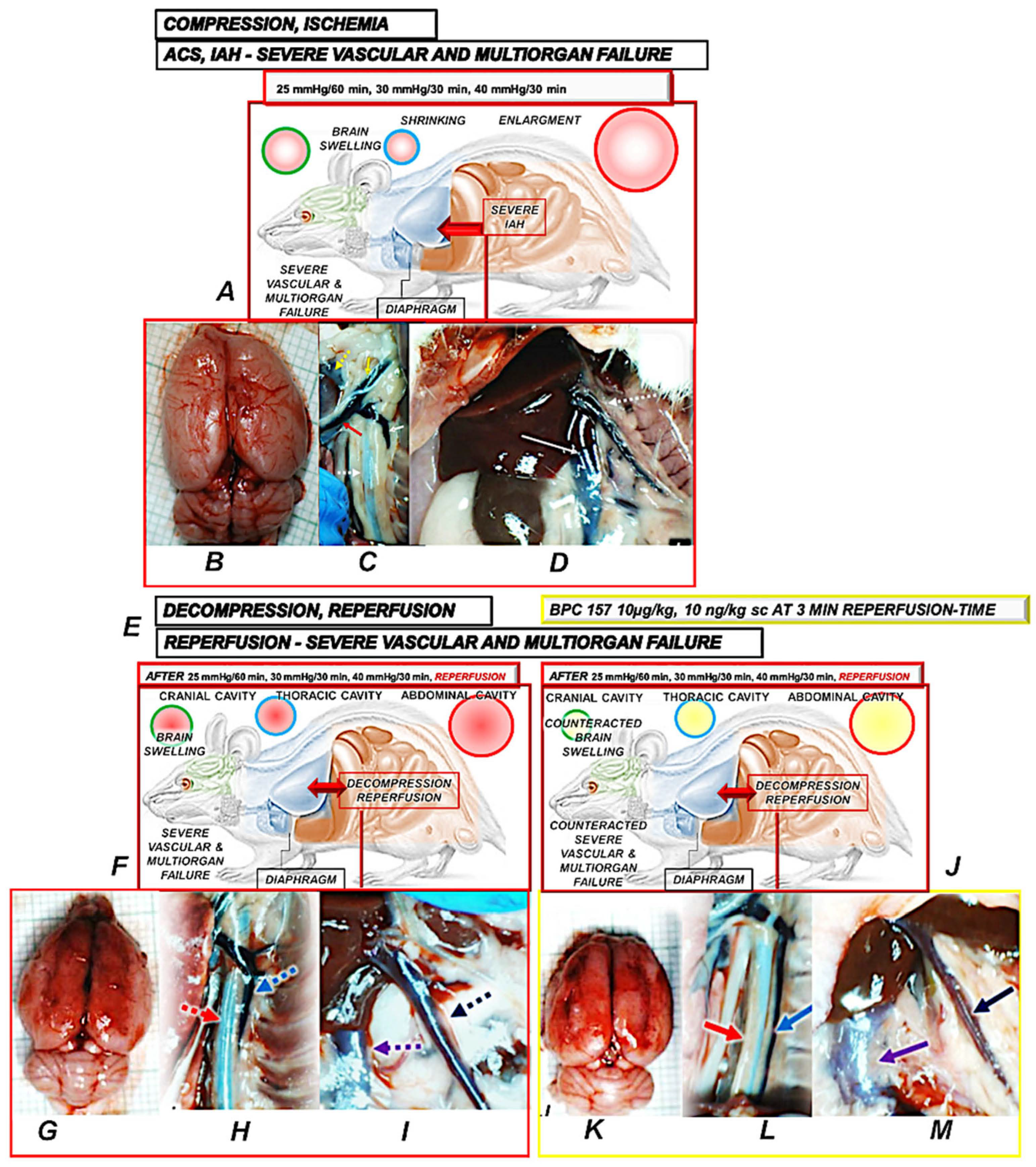 Pharmaceuticals 18 00866 g002