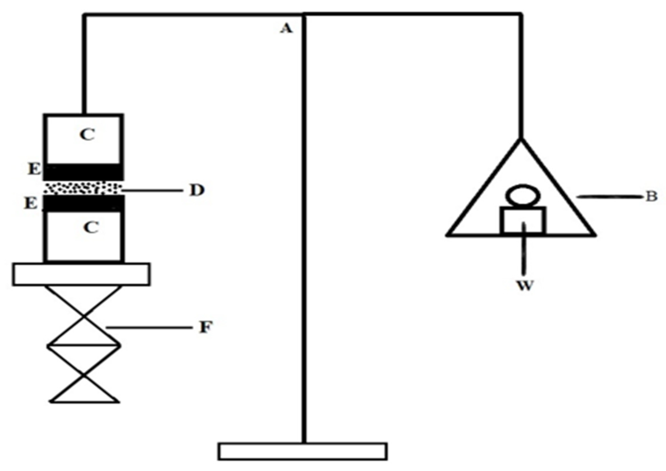 Pharmaceuticals 18 00871 g002