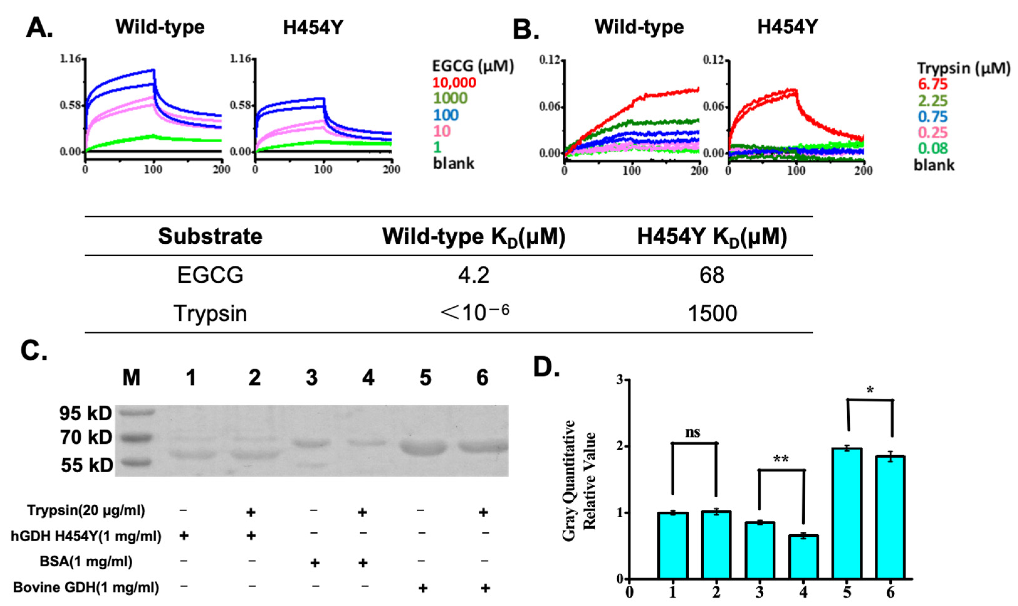 Pharmaceuticals 18 00877 g003