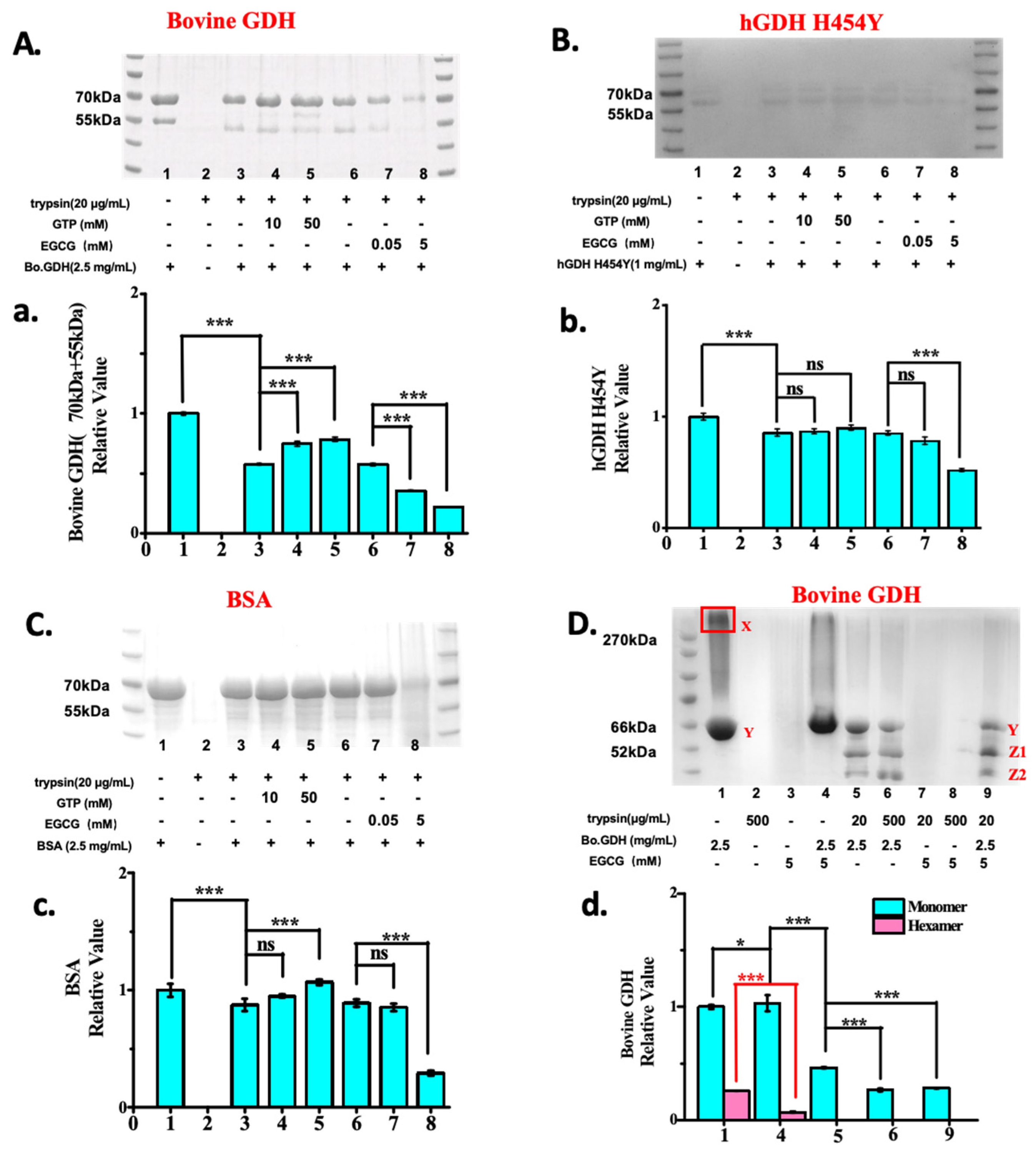 Pharmaceuticals 18 00877 g005