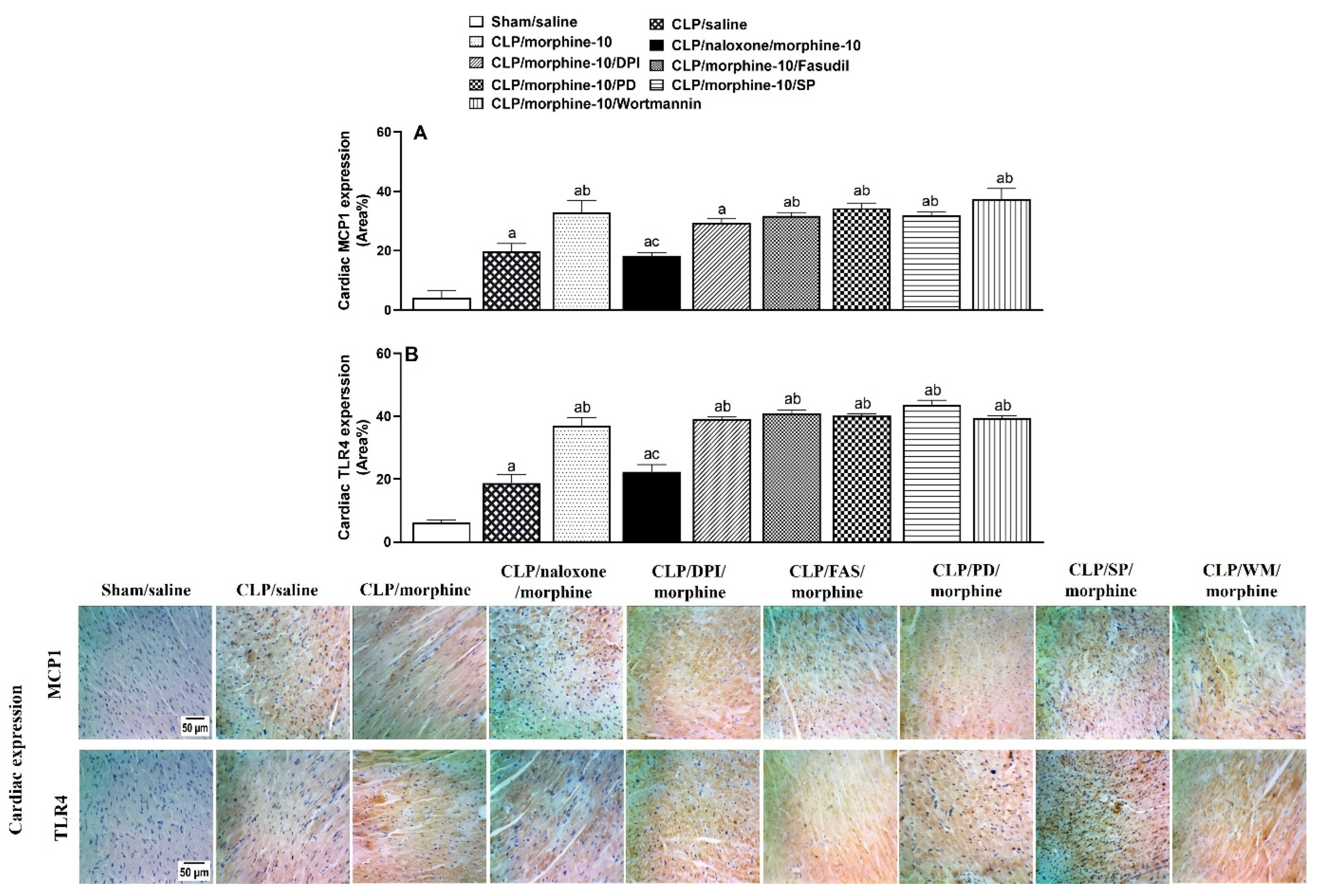 Pharmaceuticals 18 00882 g006