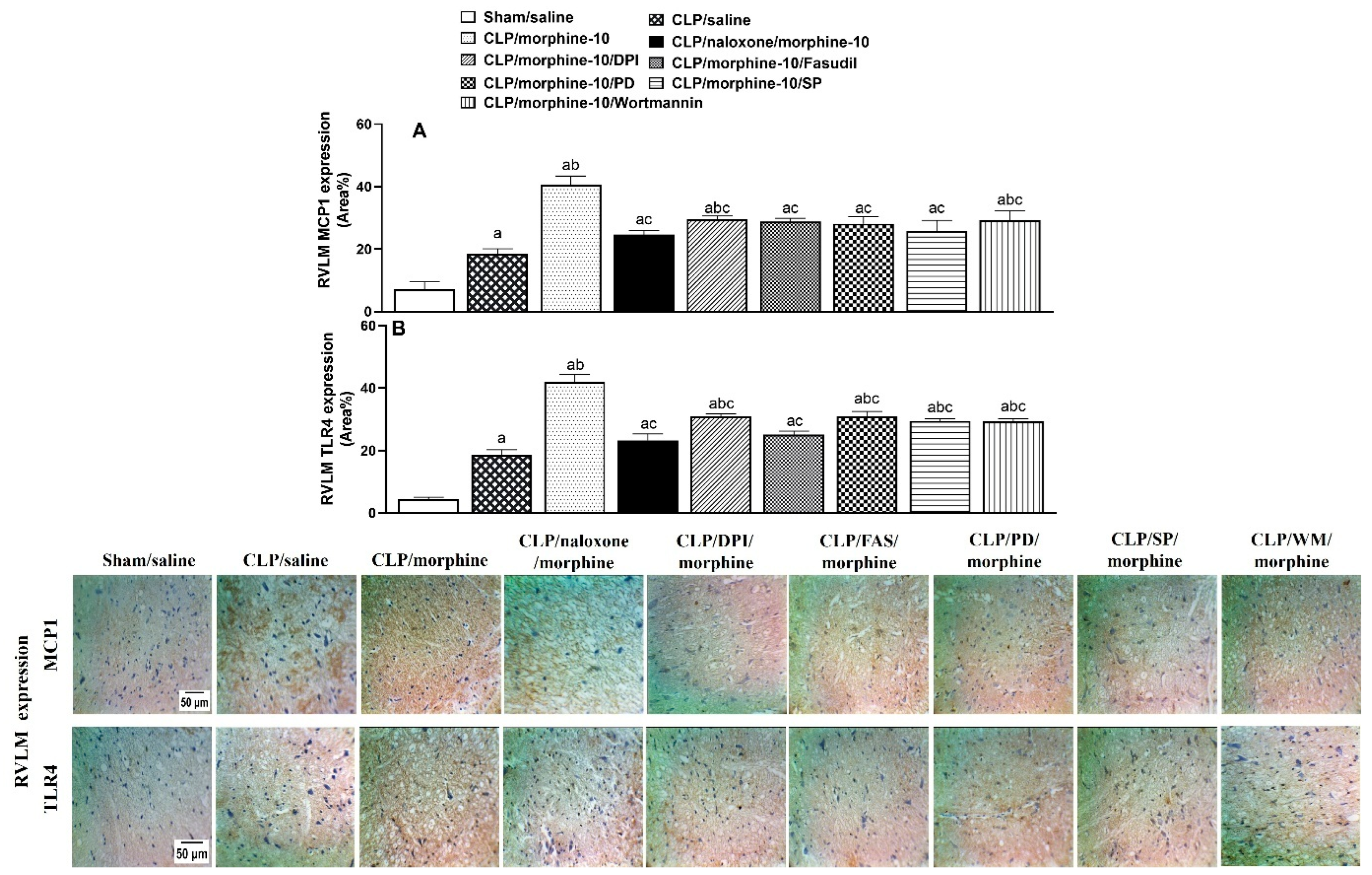 Pharmaceuticals 18 00882 g007