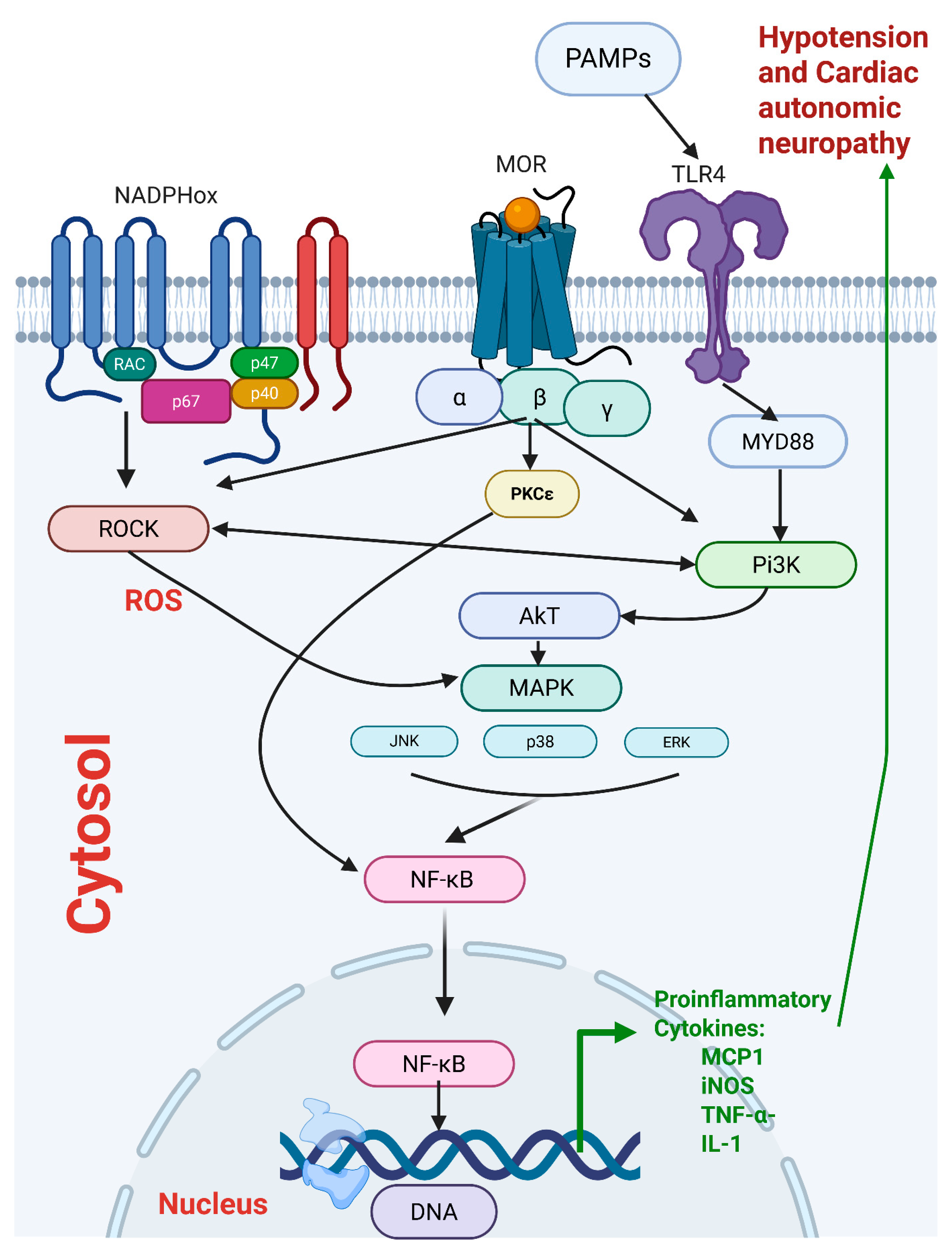 Pharmaceuticals 18 00882 g008