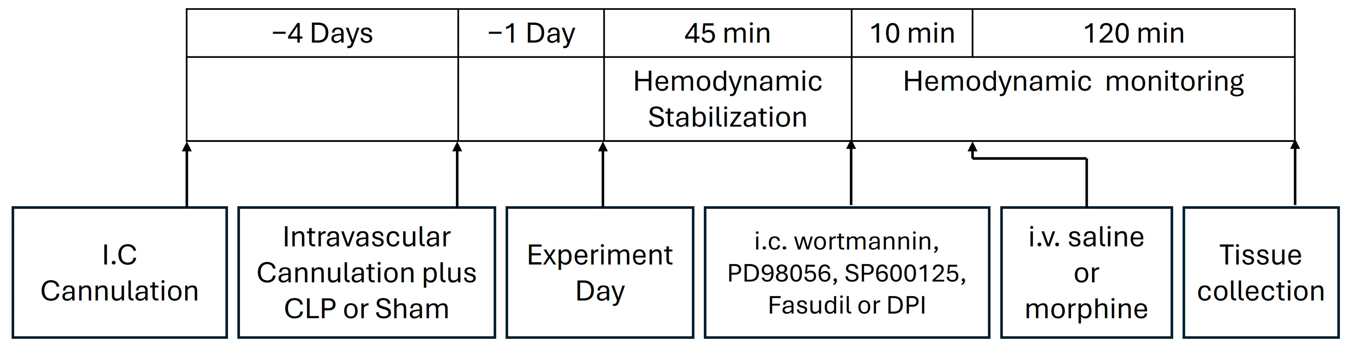 Pharmaceuticals 18 00882 g009