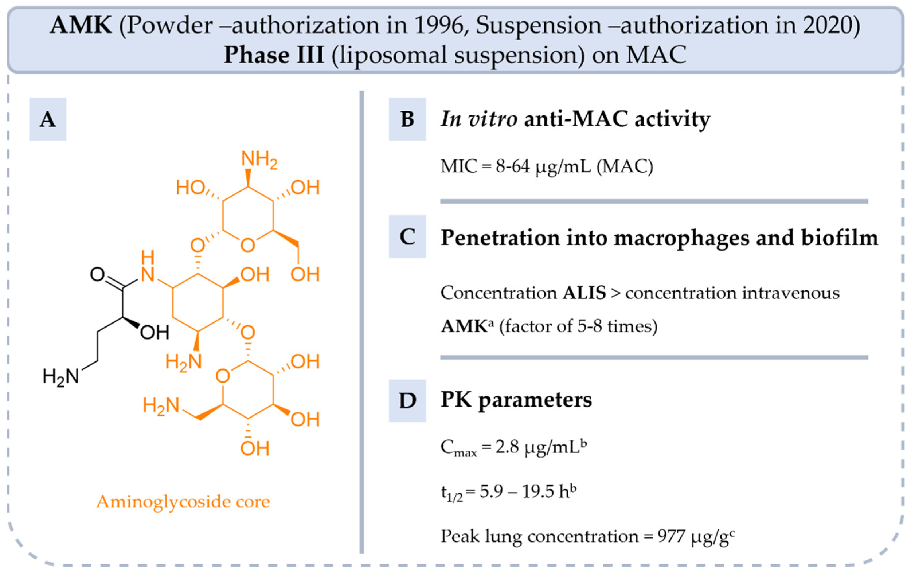 Pharmaceuticals 18 00891 g006