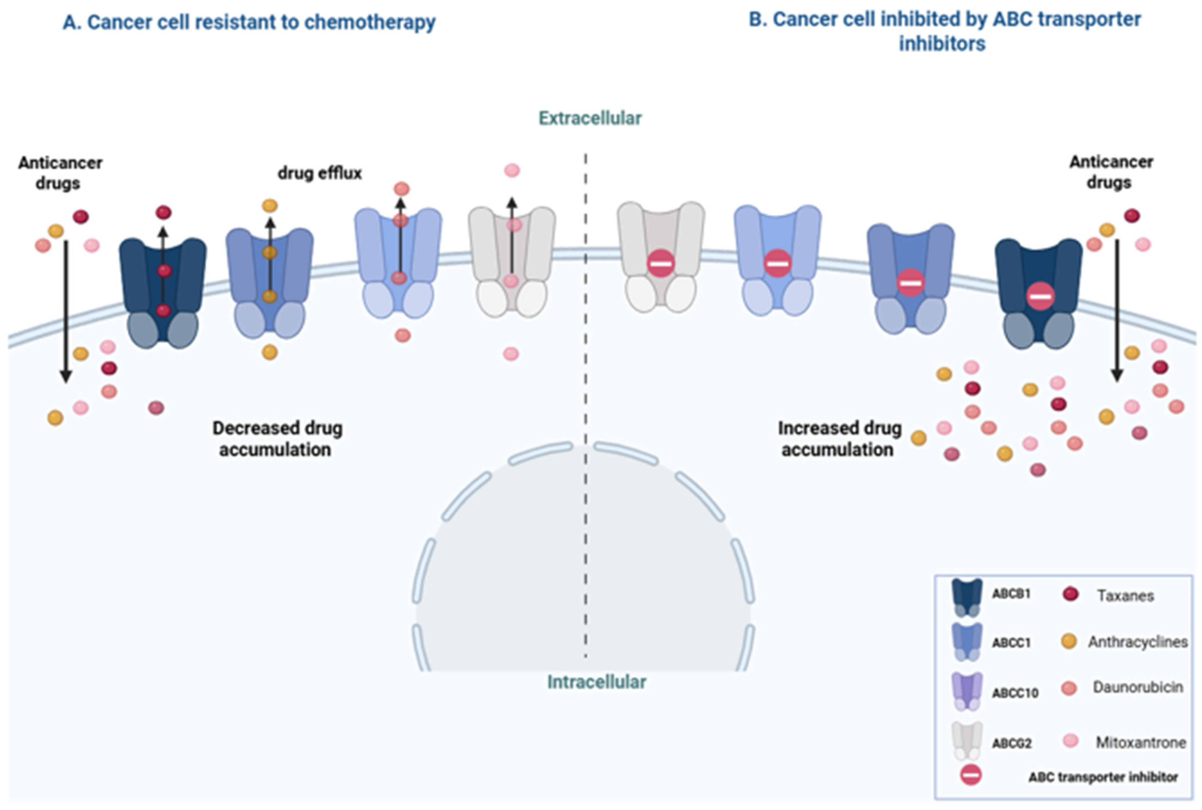 Pharmaceuticals 18 00895 g001