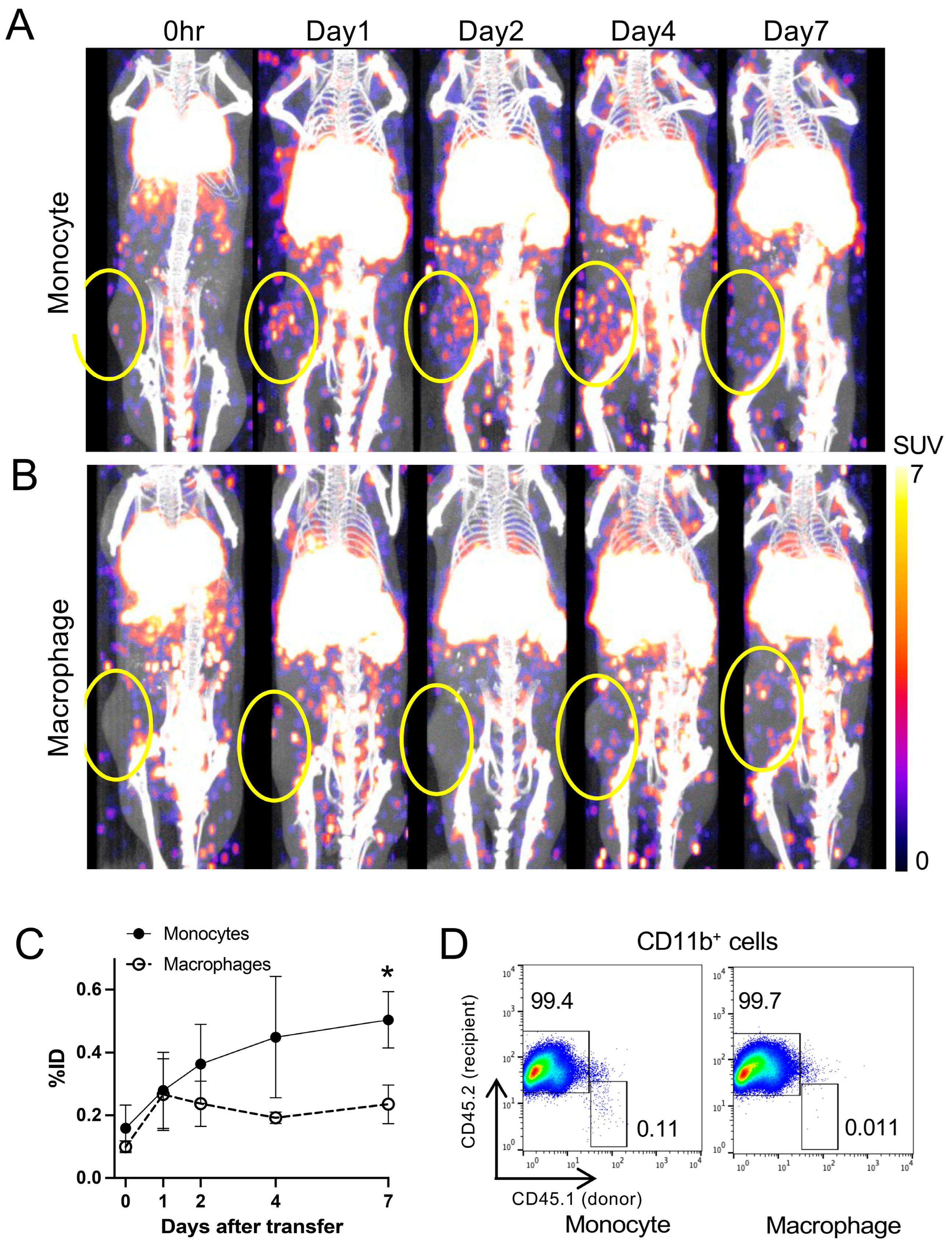 Pharmaceuticals 18 00897 g004 Pharmaceuticals 18 00897 g004