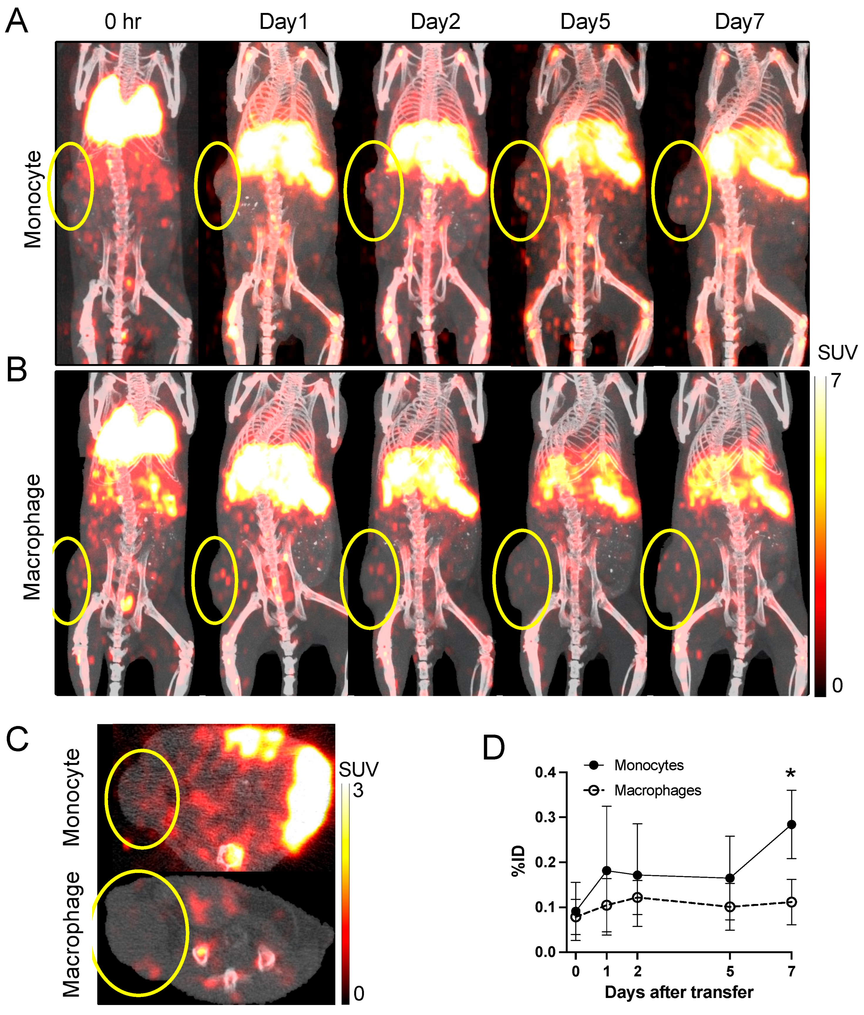 Pharmaceuticals 18 00897 g005 Pharmaceuticals 18 00897 g005