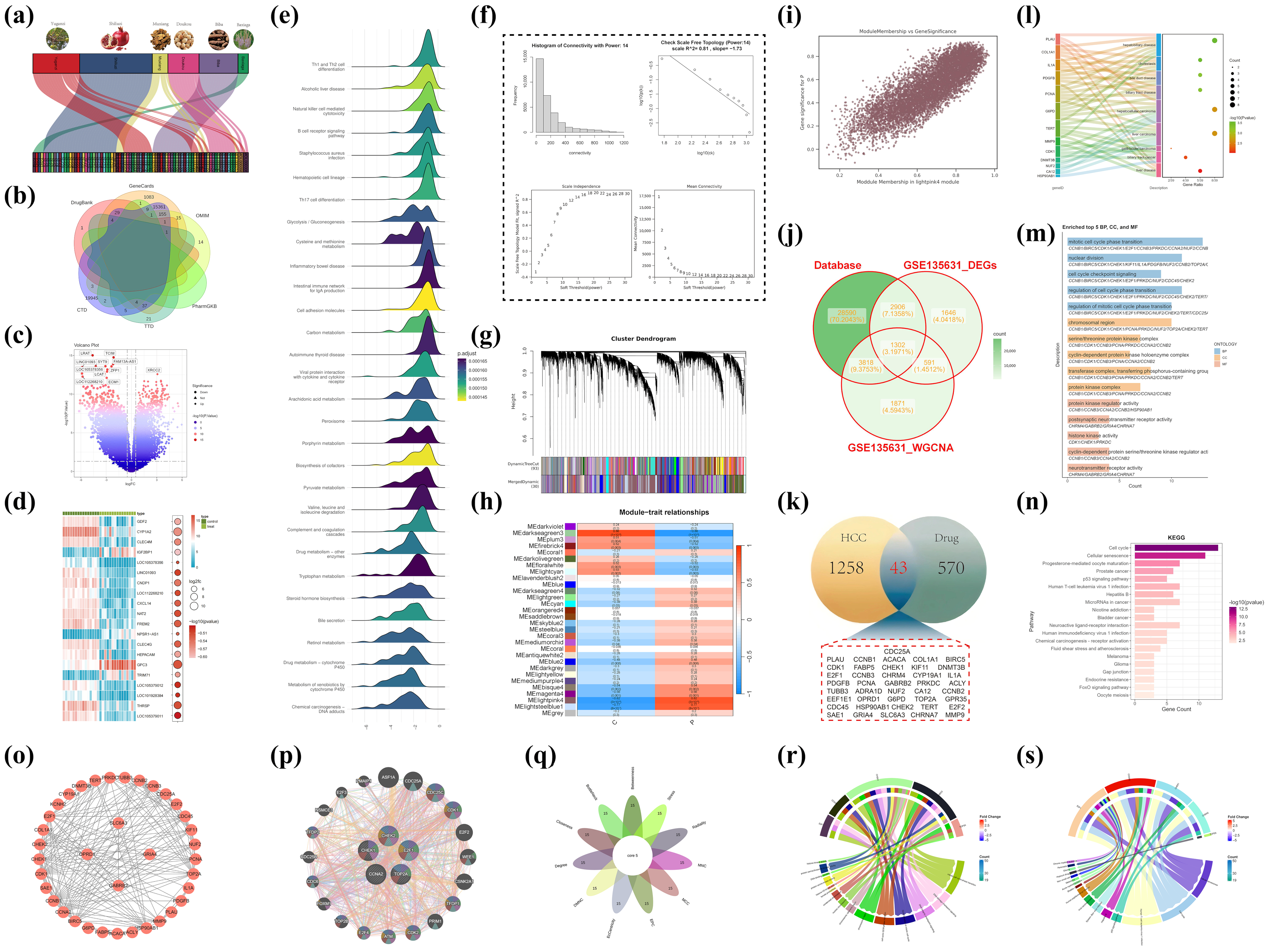 Pharmaceuticals 18 00900 g001
