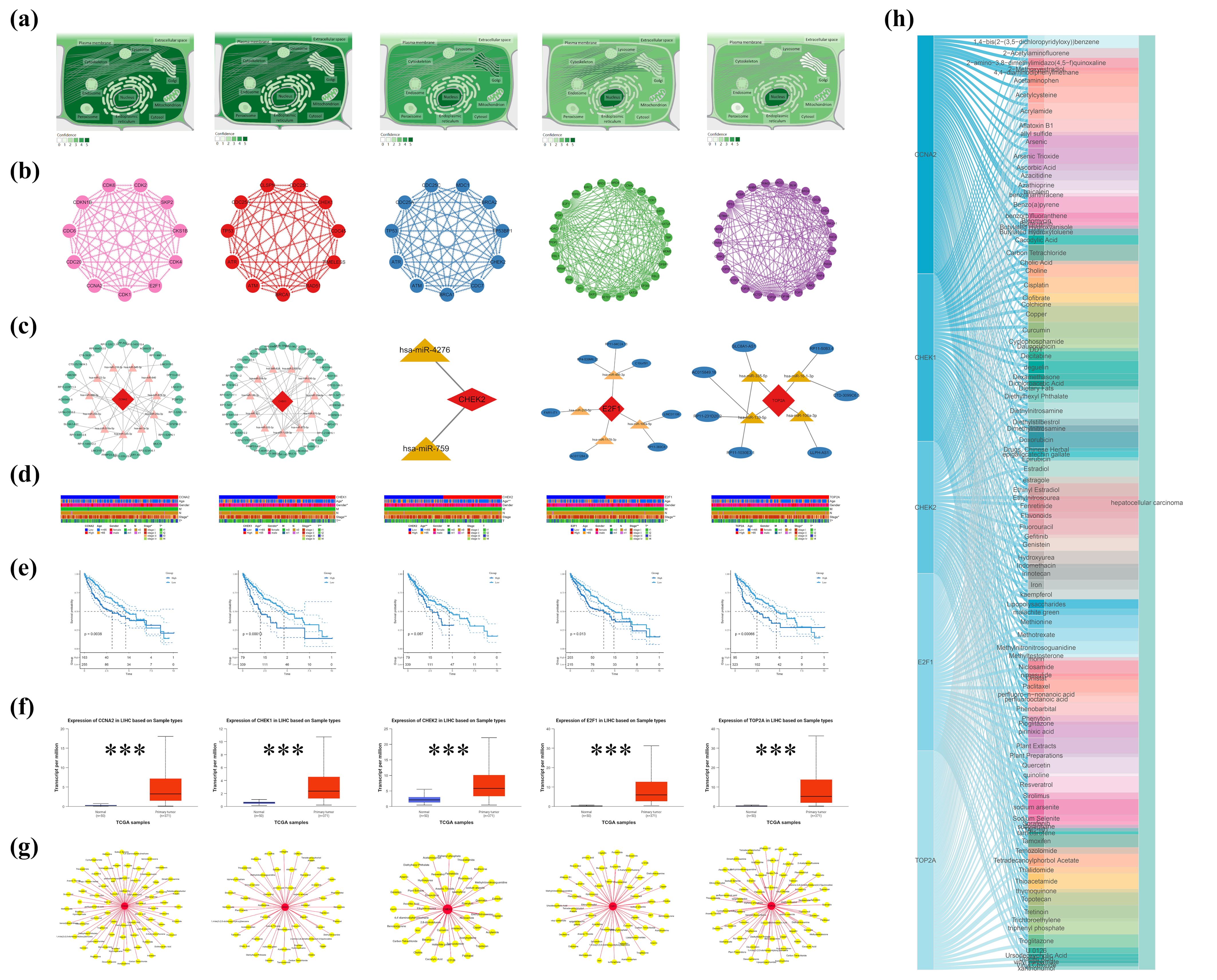 Pharmaceuticals 18 00900 g002