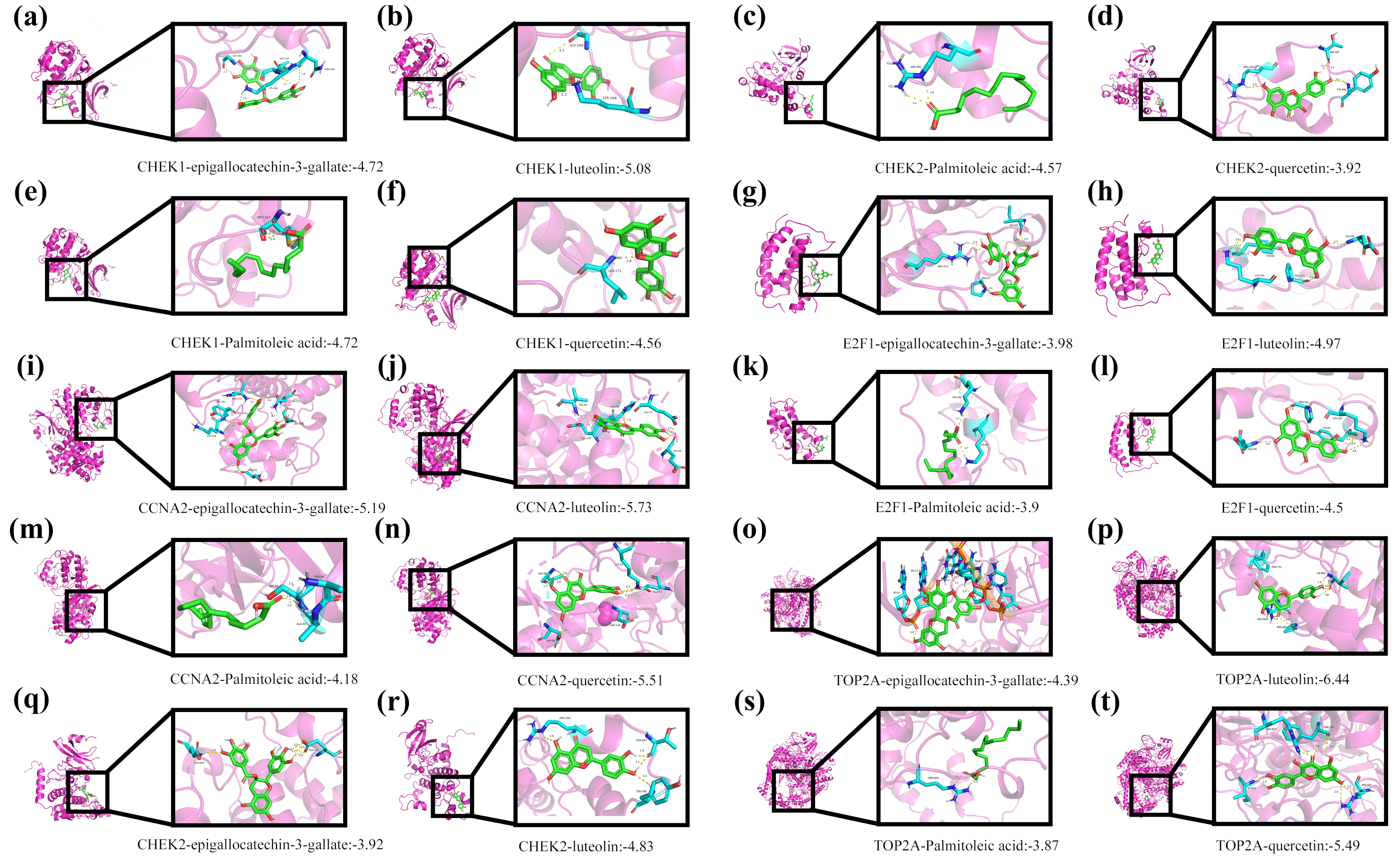 Pharmaceuticals 18 00900 g003