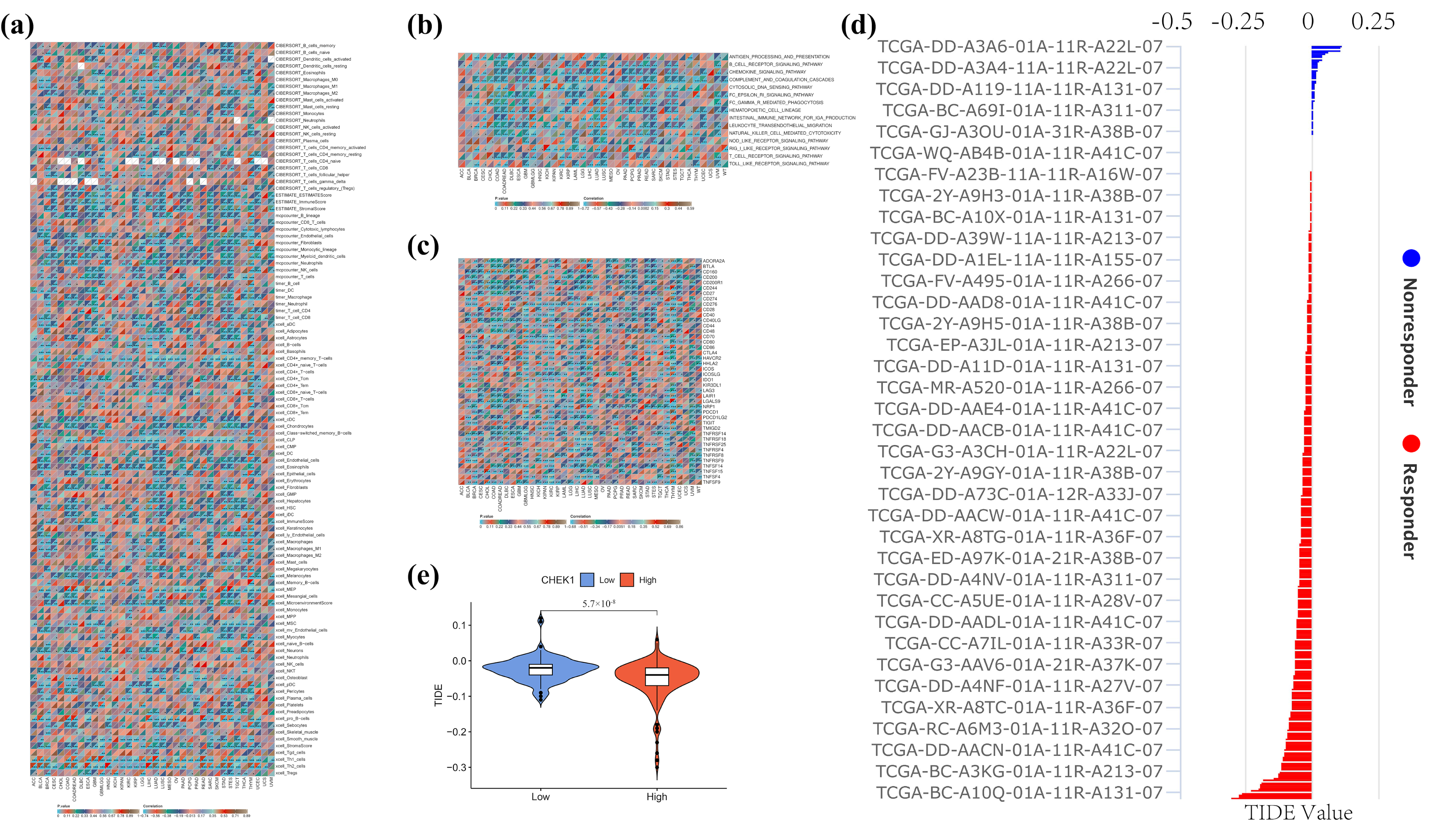 Pharmaceuticals 18 00900 g005