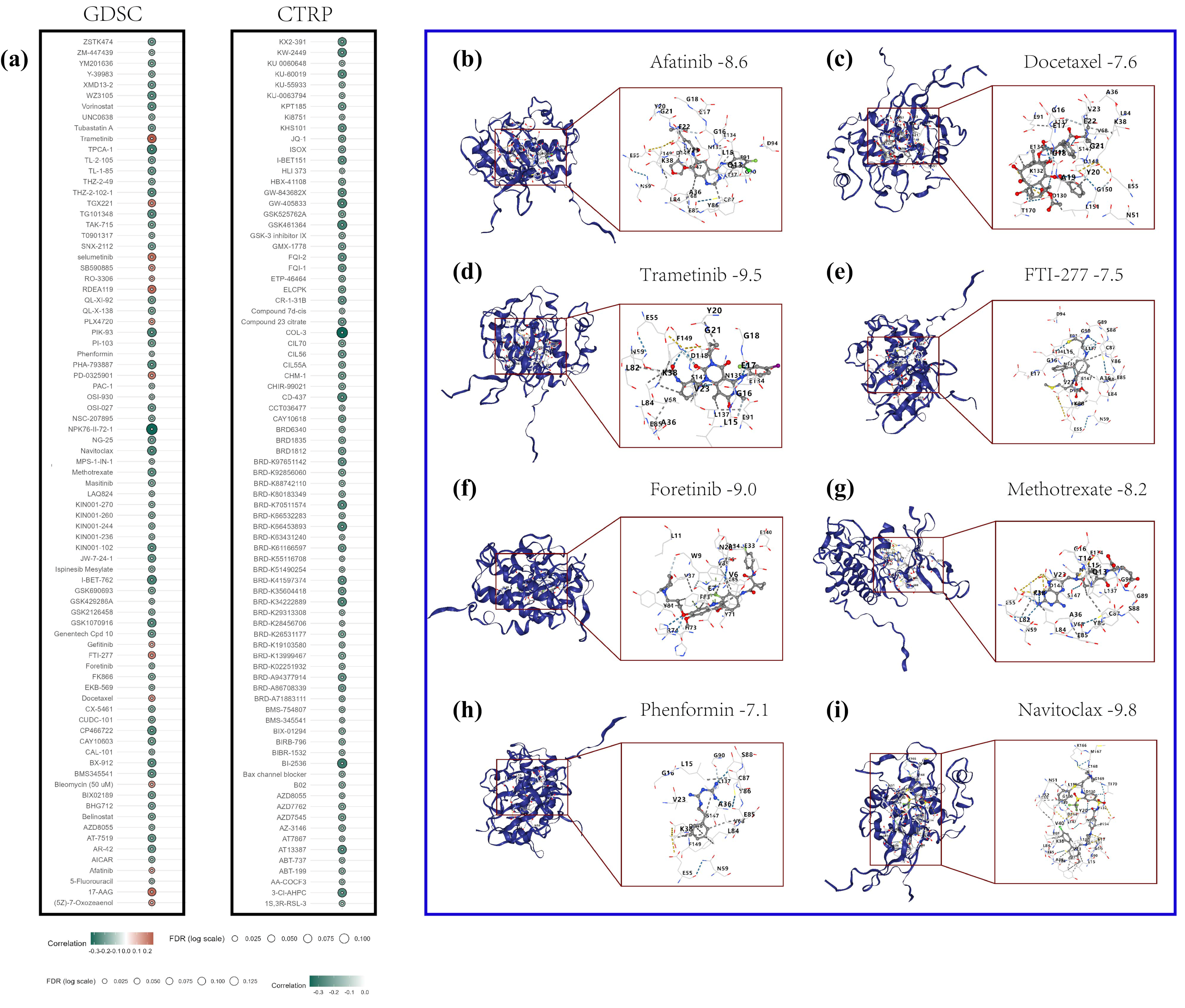 Pharmaceuticals 18 00900 g006