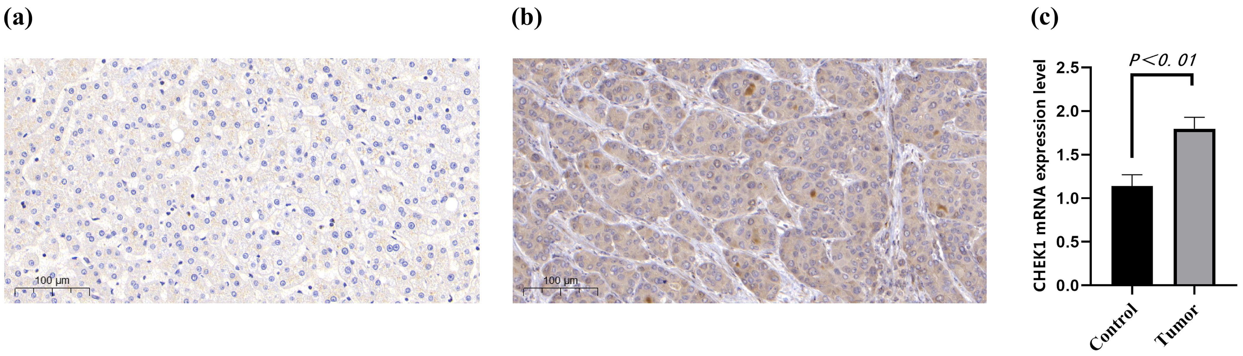Pharmaceuticals 18 00900 g008