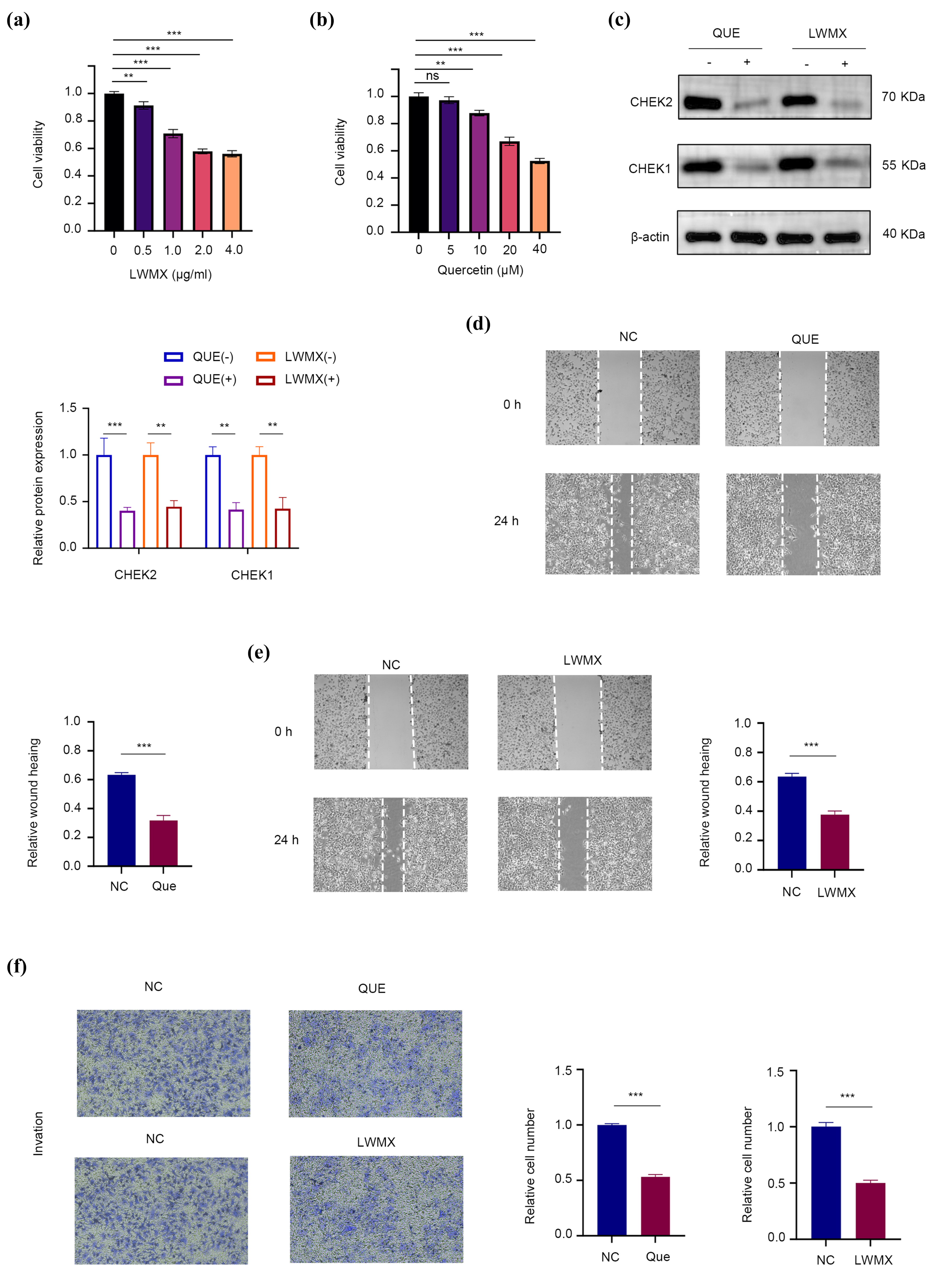 Pharmaceuticals 18 00900 g009