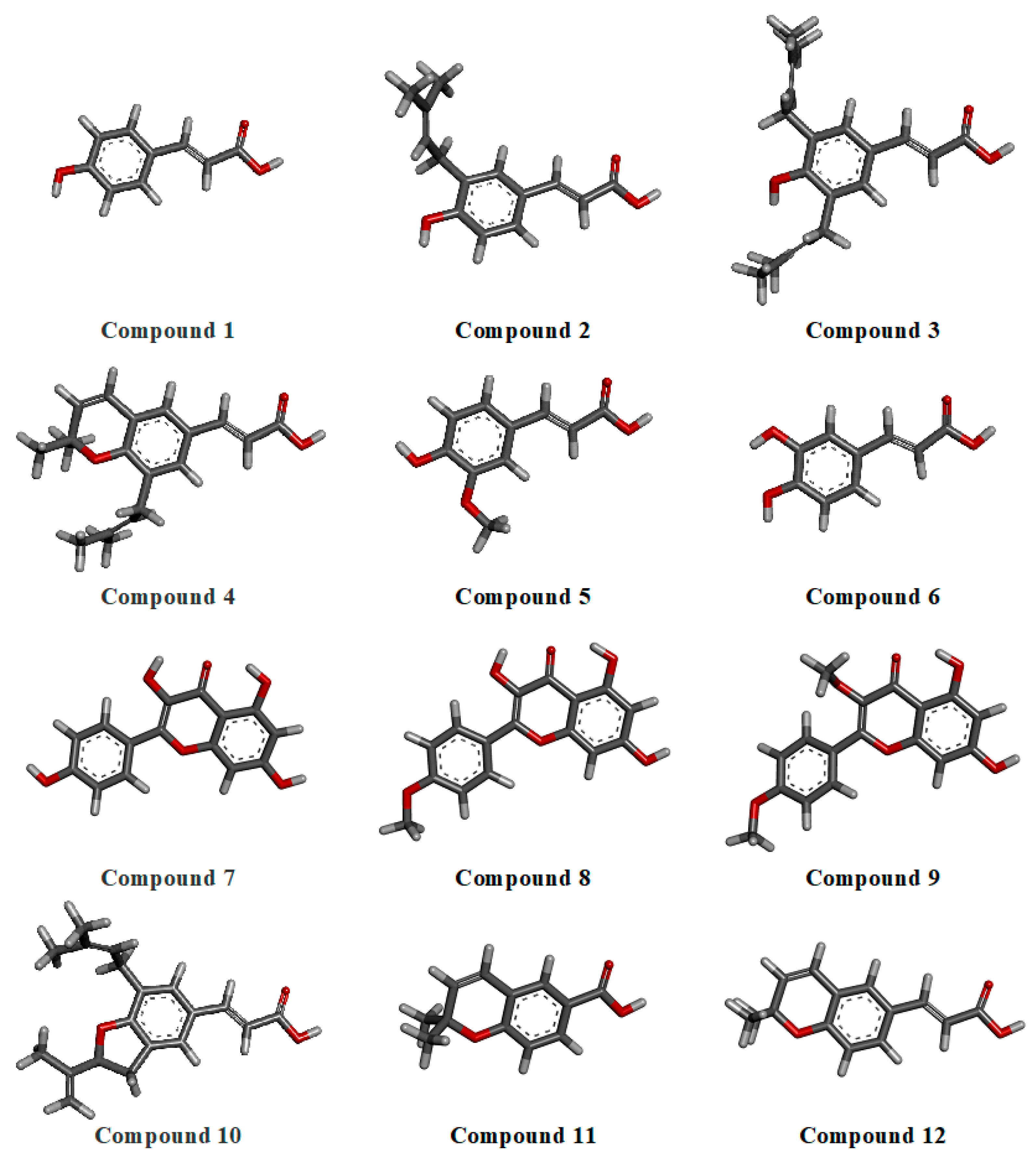 Pharmaceuticals 18 00902 g001