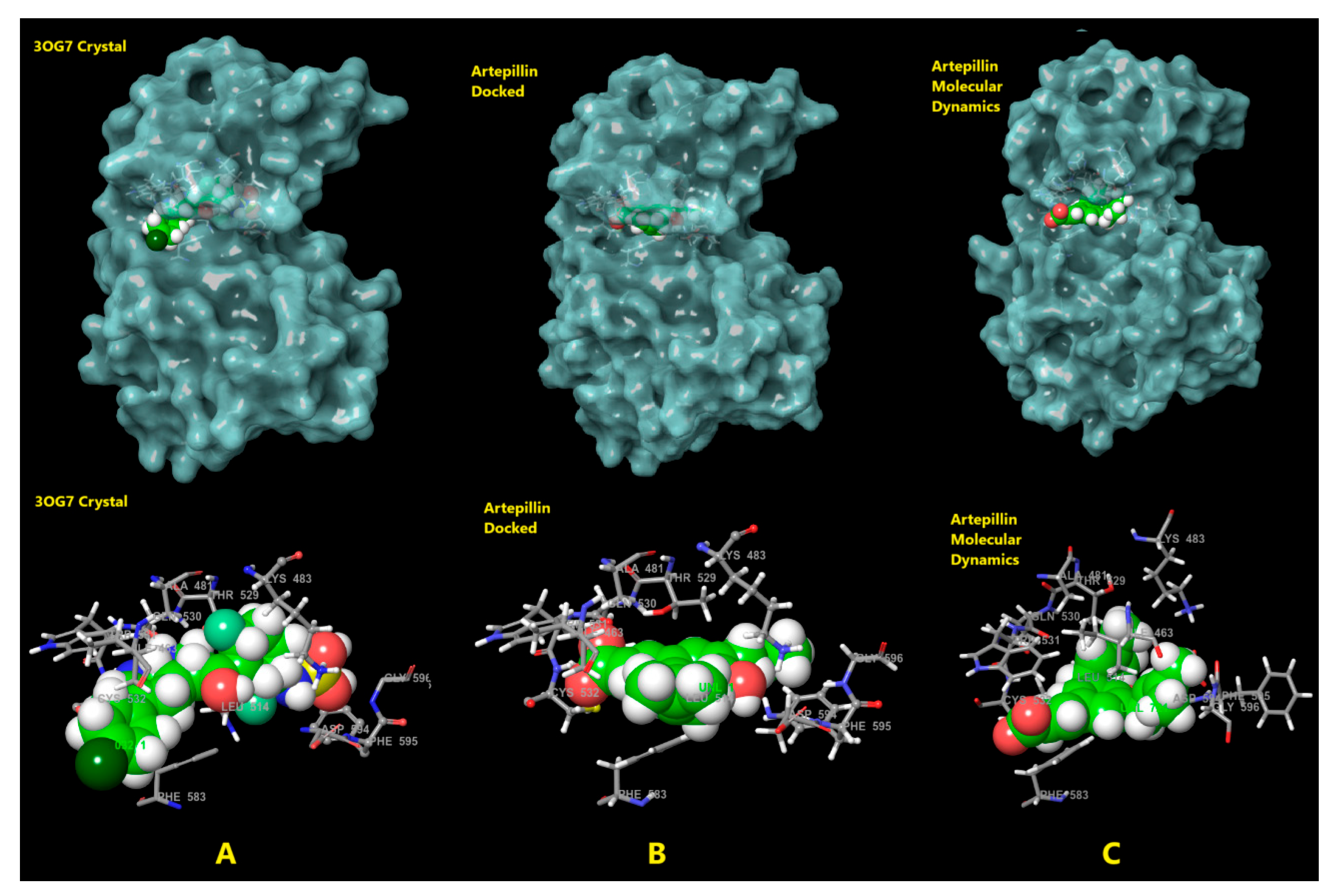 Pharmaceuticals 18 00902 g006