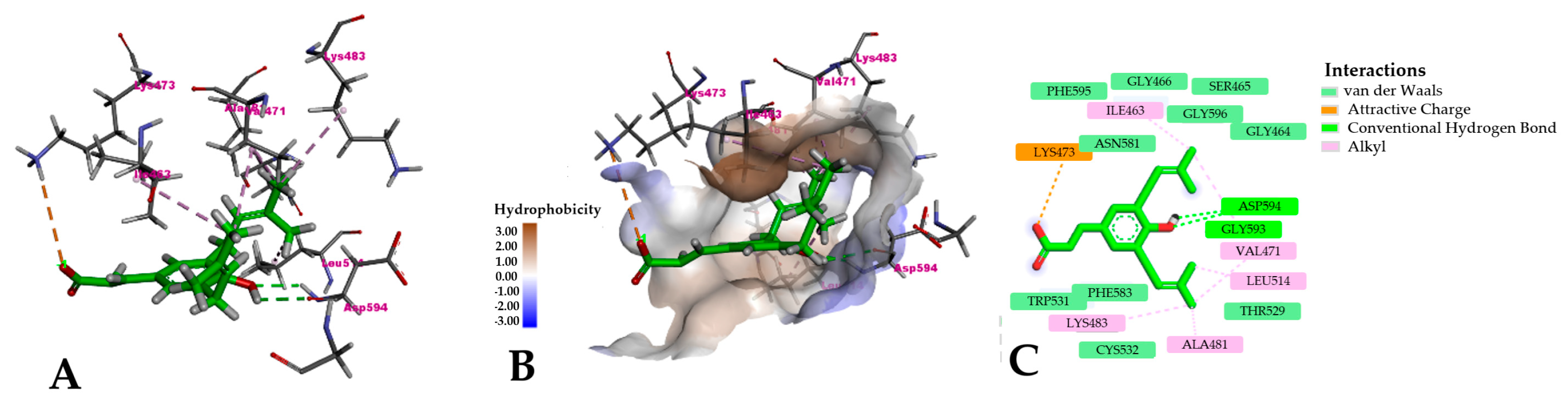 Pharmaceuticals 18 00902 g007