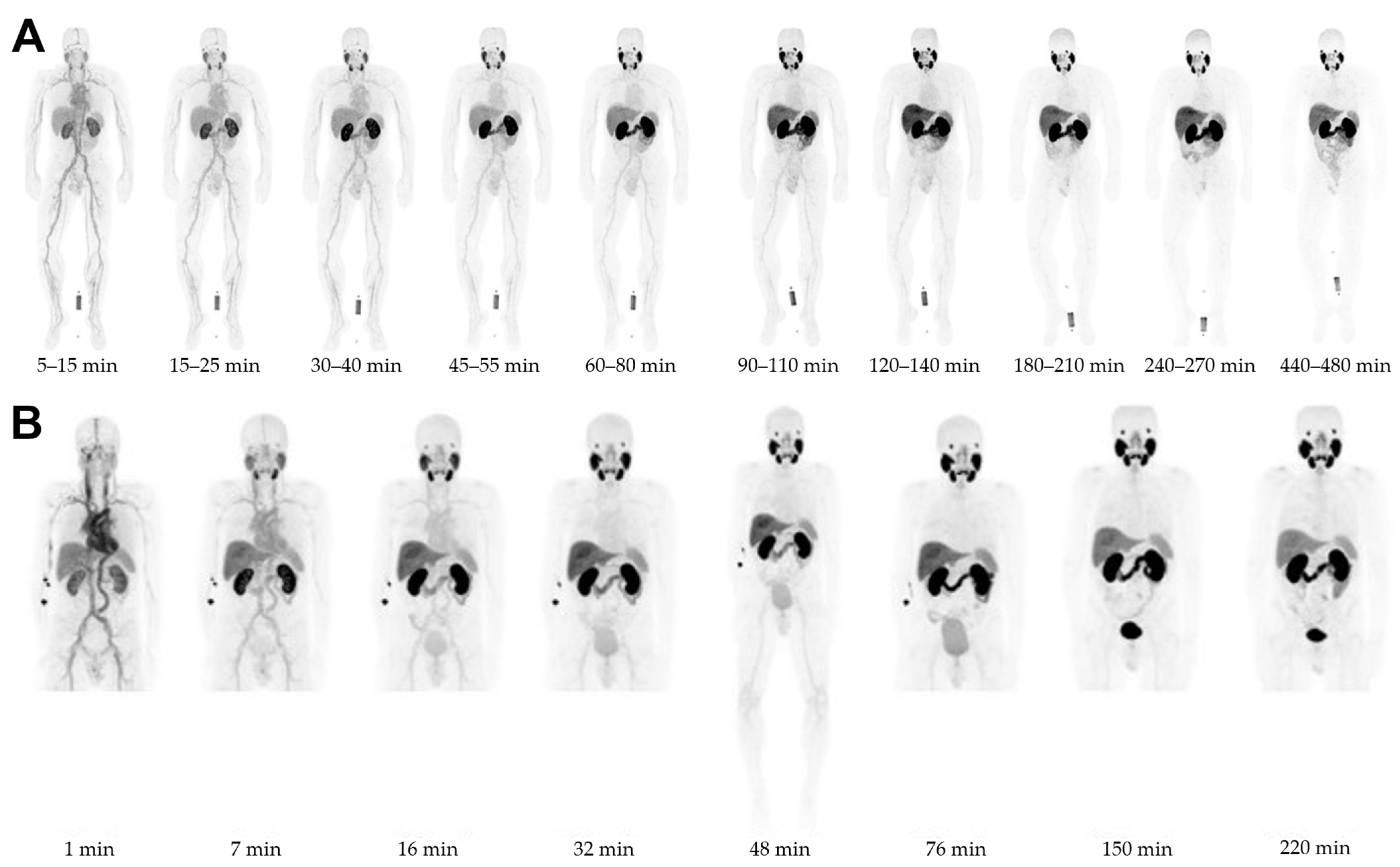 Pharmaceuticals 18 00906 g002
