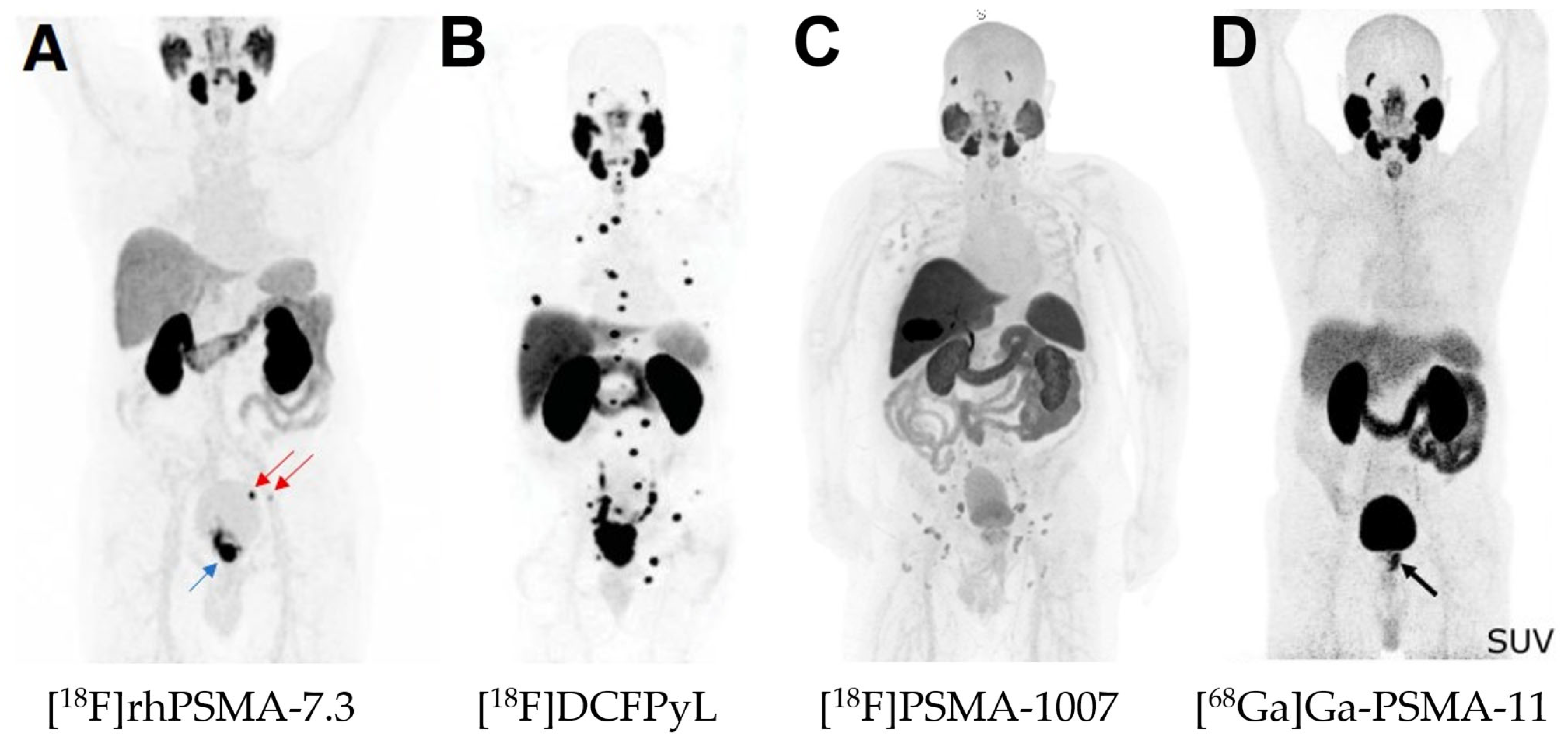 Pharmaceuticals 18 00906 g003