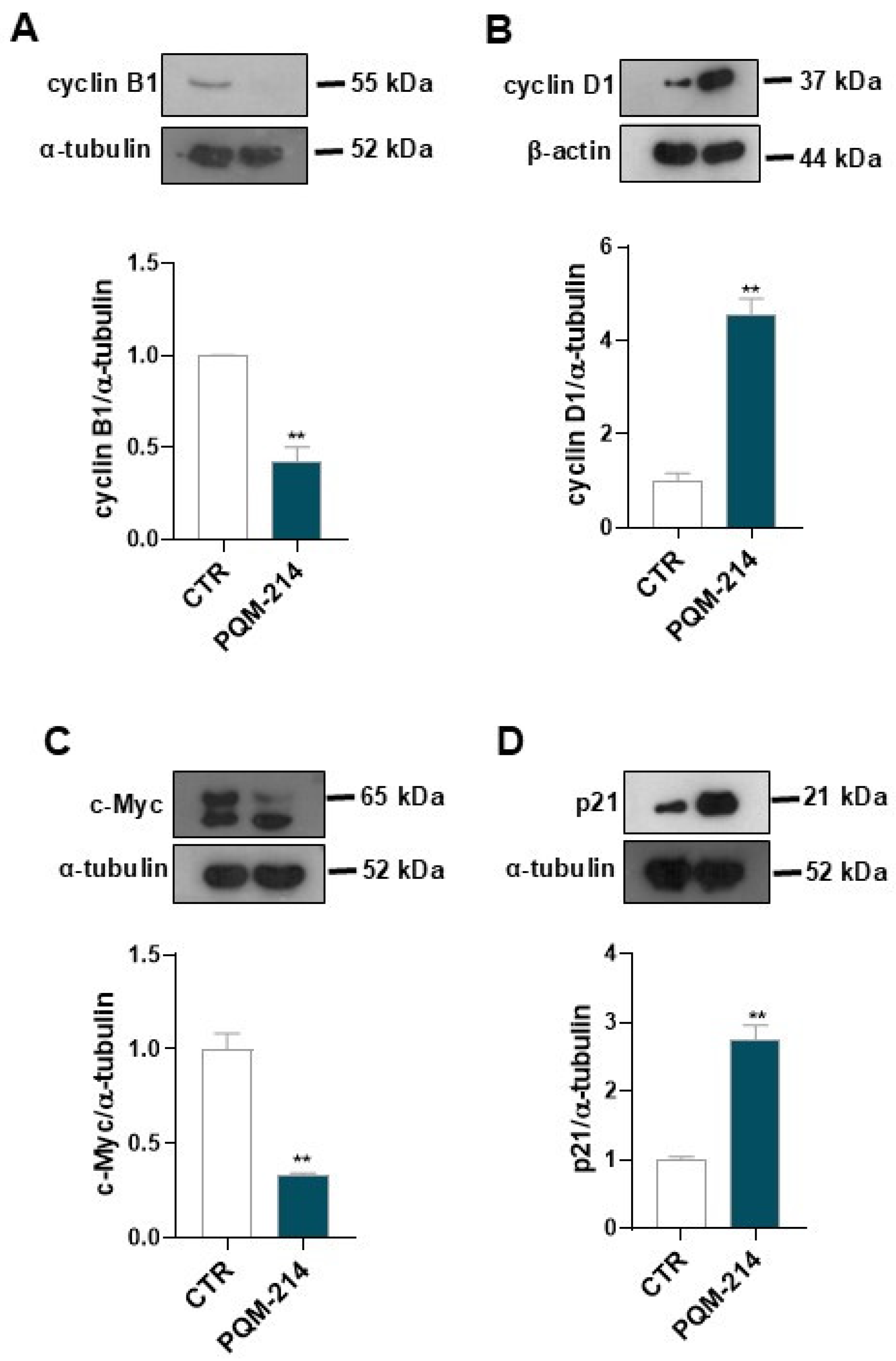 Pharmaceuticals 18 00914 g004