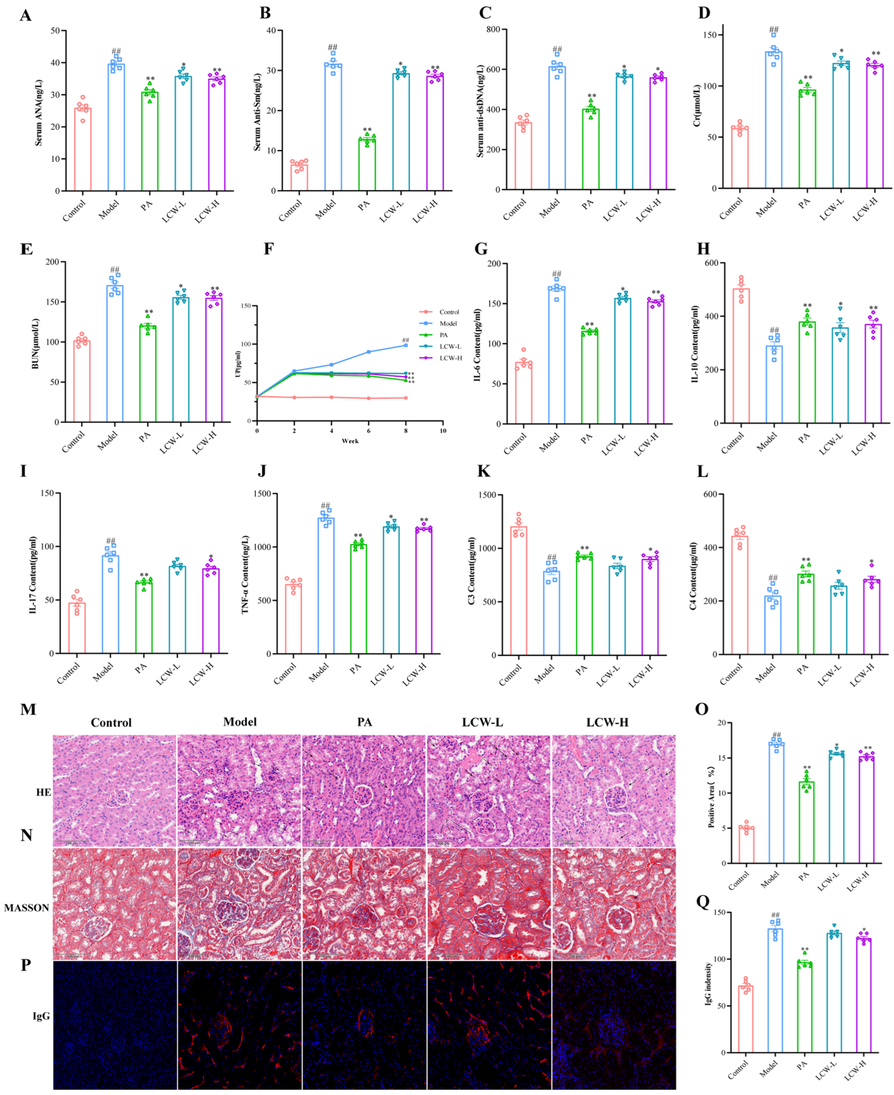 Pharmaceuticals 18 00916 g002