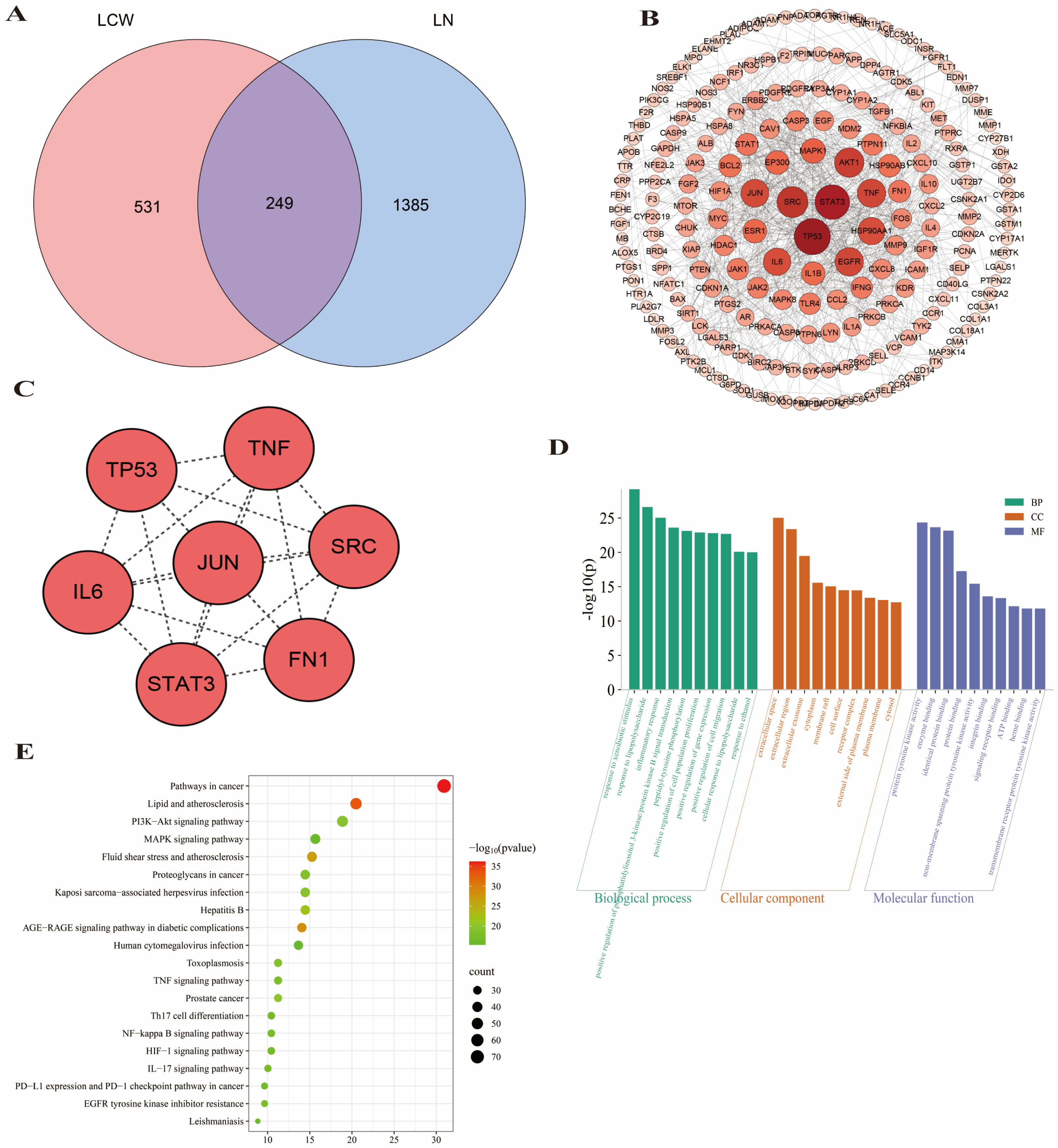 Pharmaceuticals 18 00916 g003